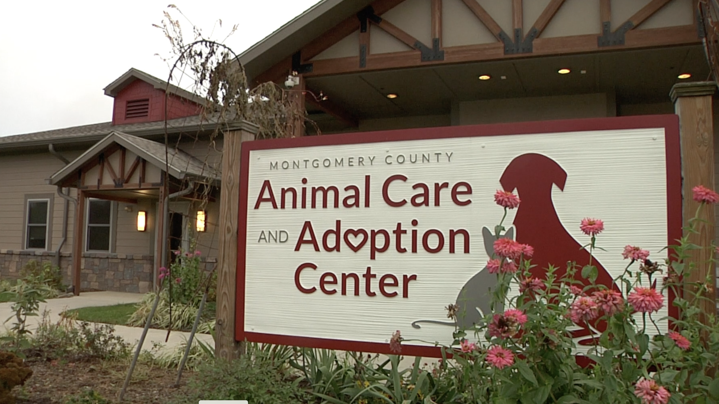 Montgomery County Animal Shelter COVID-19 Response