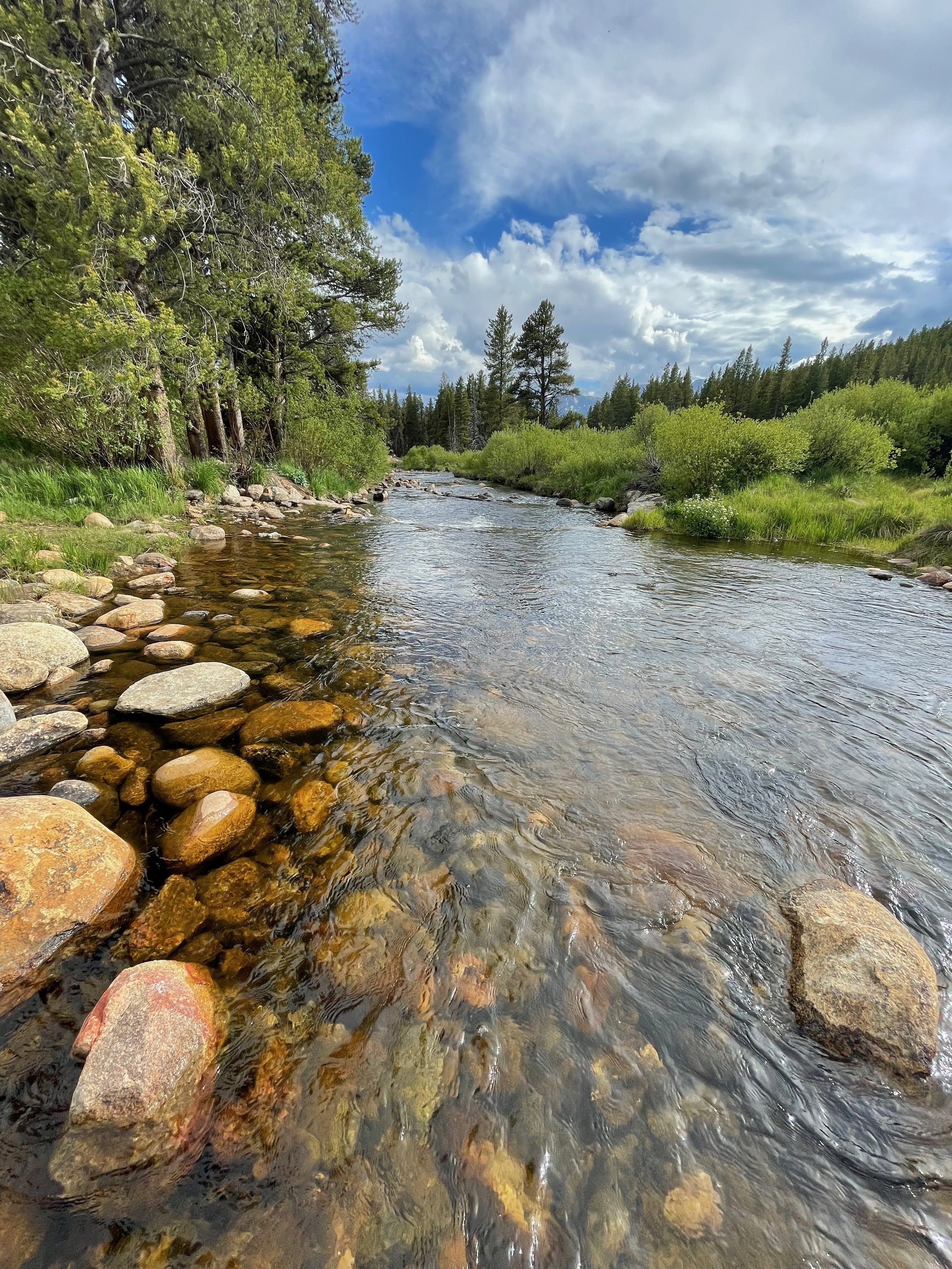 Feeling All the Feels...