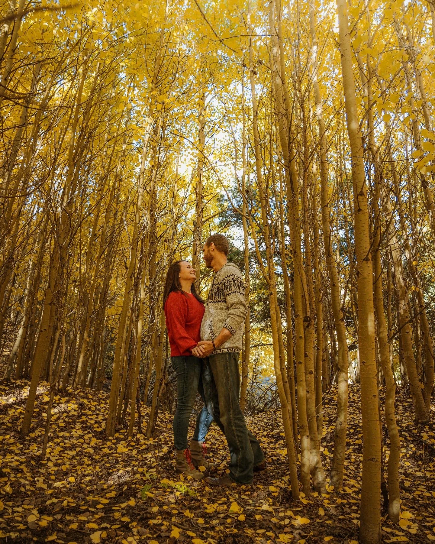 The Release of Autumn