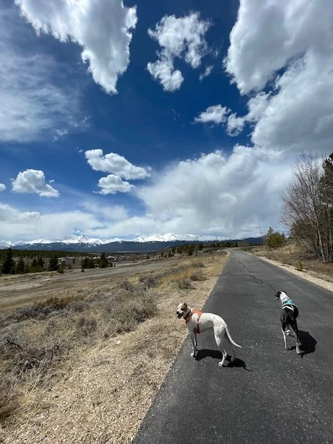 What are you Nurturing in your life?