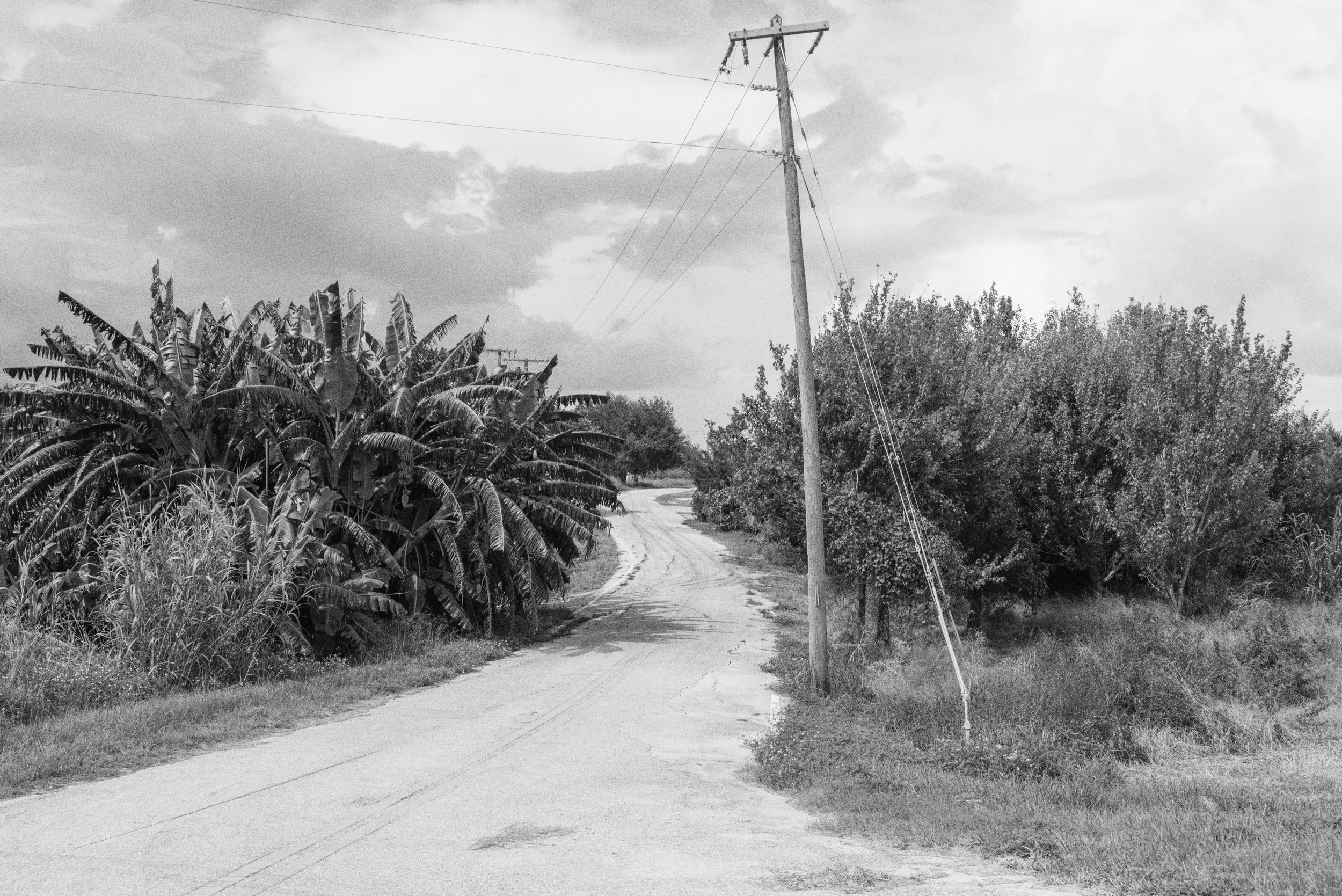 Ice Plant Road - Lake Harbor, Florida