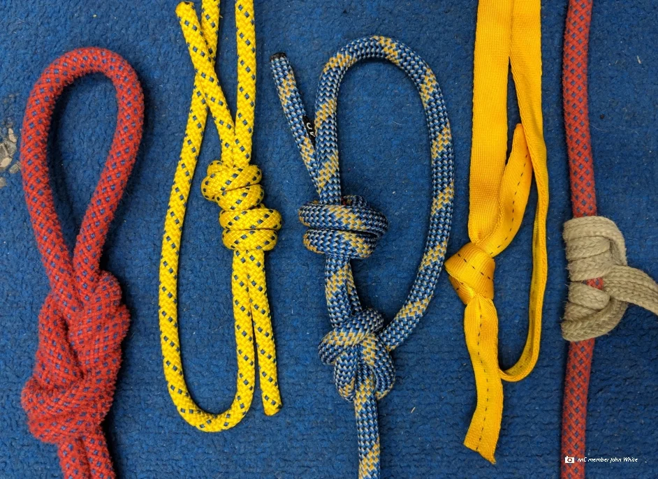 knots.jpg