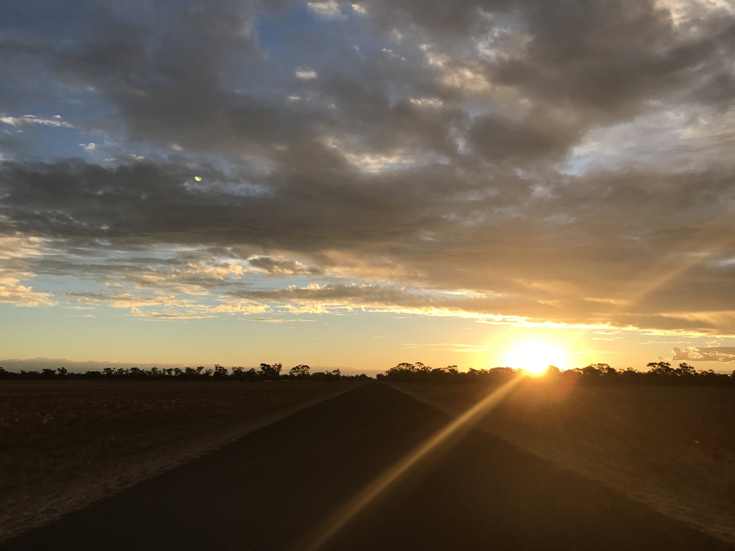 Getting through my first Single Dad Christmas.                        Or "The day I hit a Kangaroo" 