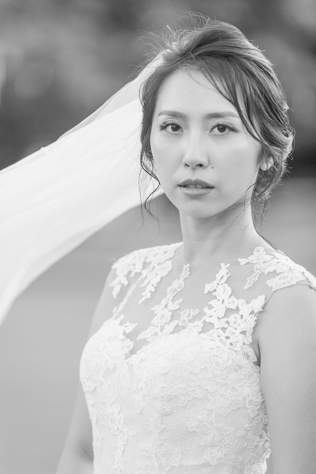 20190309 Susan + Ben Wedding 309.JPG