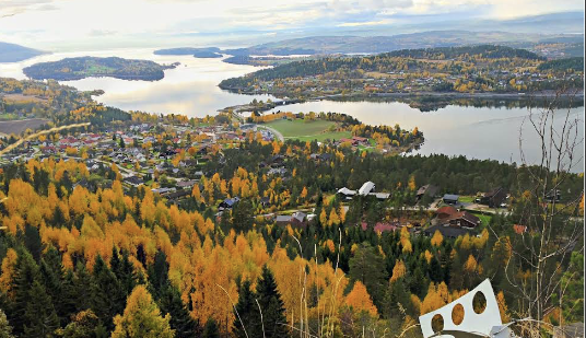 Screenshot 2026-01-24 at 1.04.11 PM.png