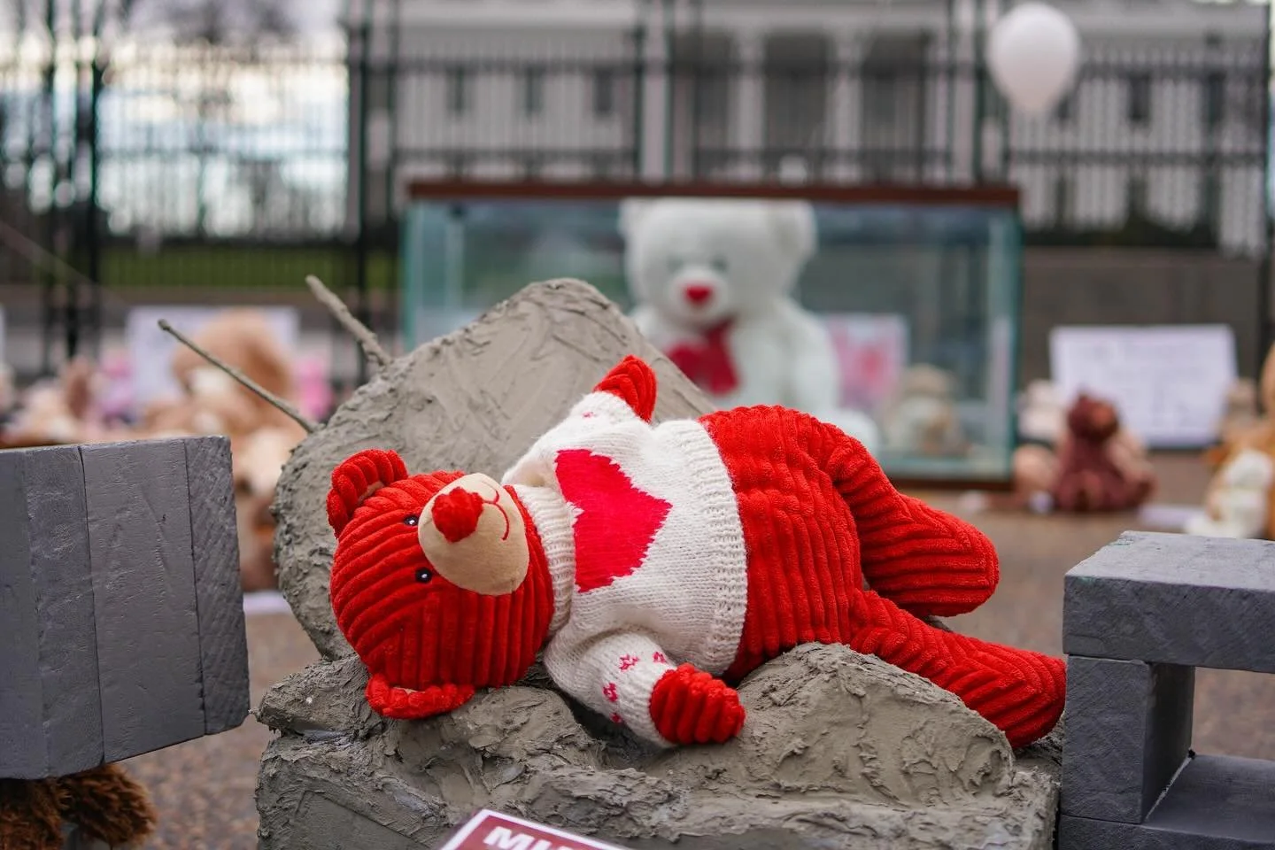 January 13, 2024: It was a day of global marches in support of Palestine. The death toll in Gaza was just over 30,000, including 13,000 children. It was freezing cold that day in DC, with wind and rain making things even more difficult. But none of t