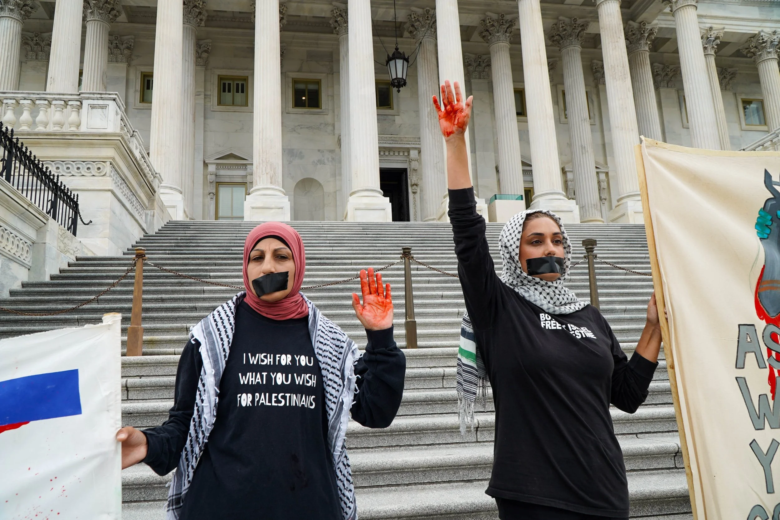 Capitol steps protest 16.jpg