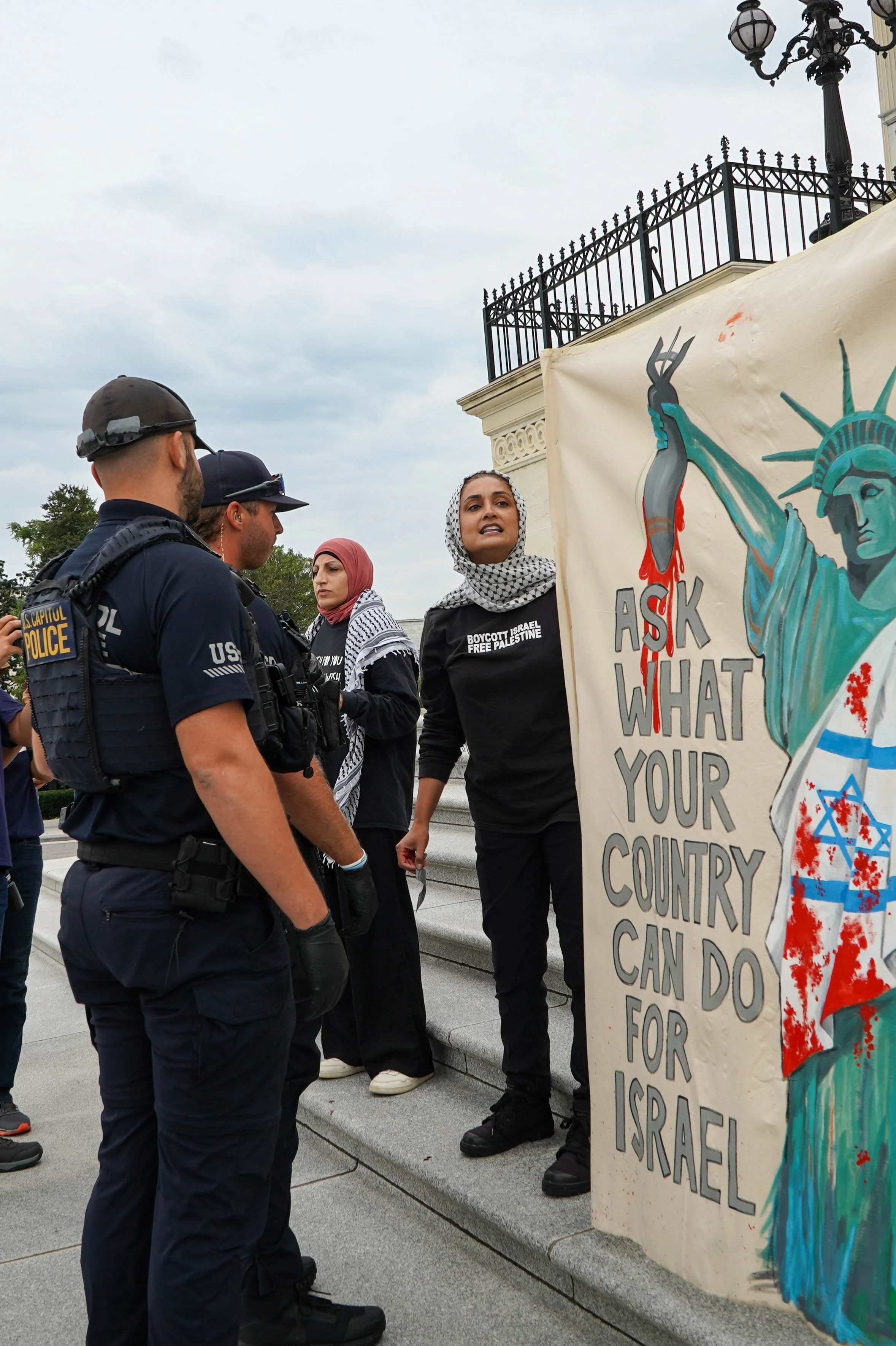 Capitol steps protest 26.jpg
