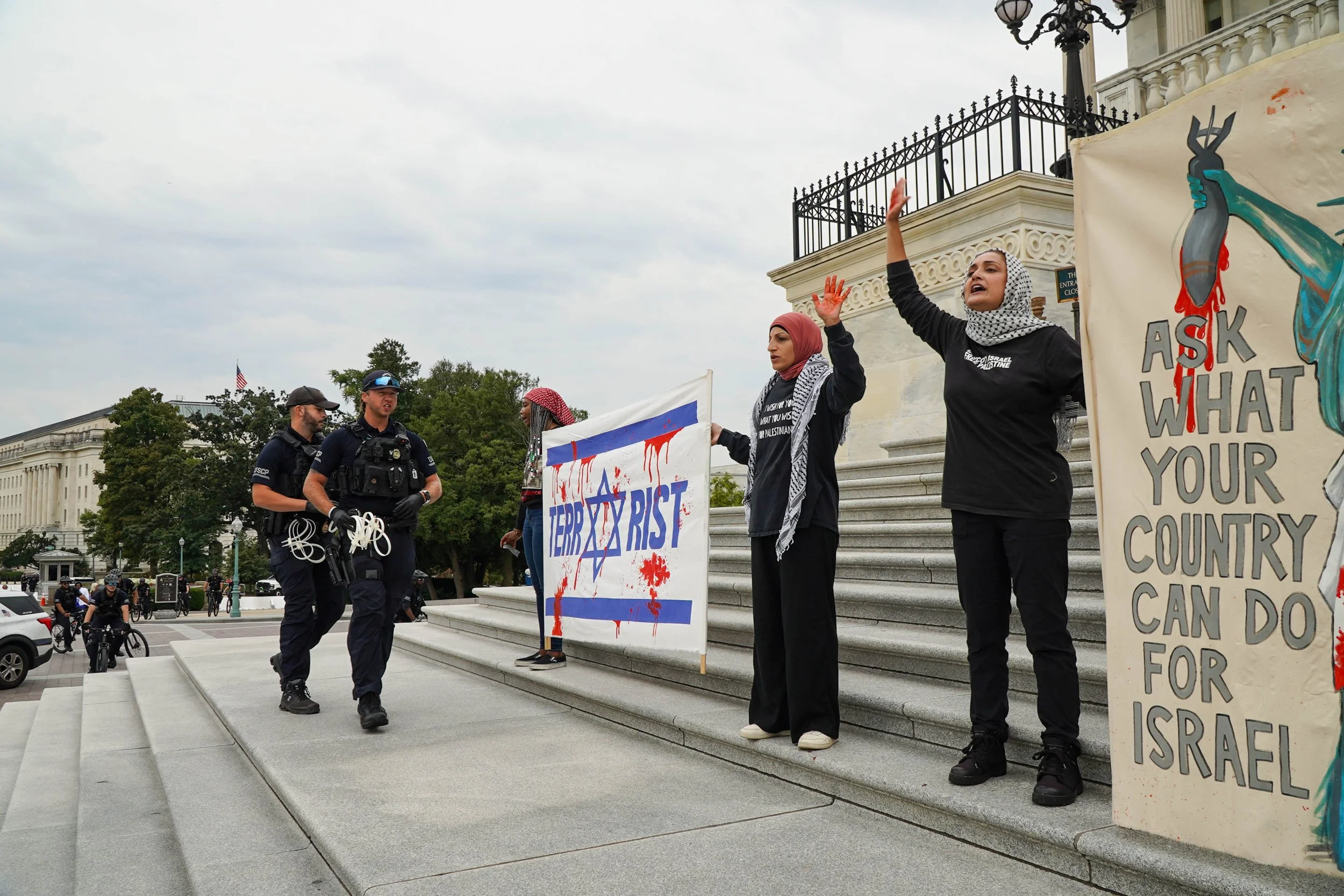 Capitol steps protest 34.jpg