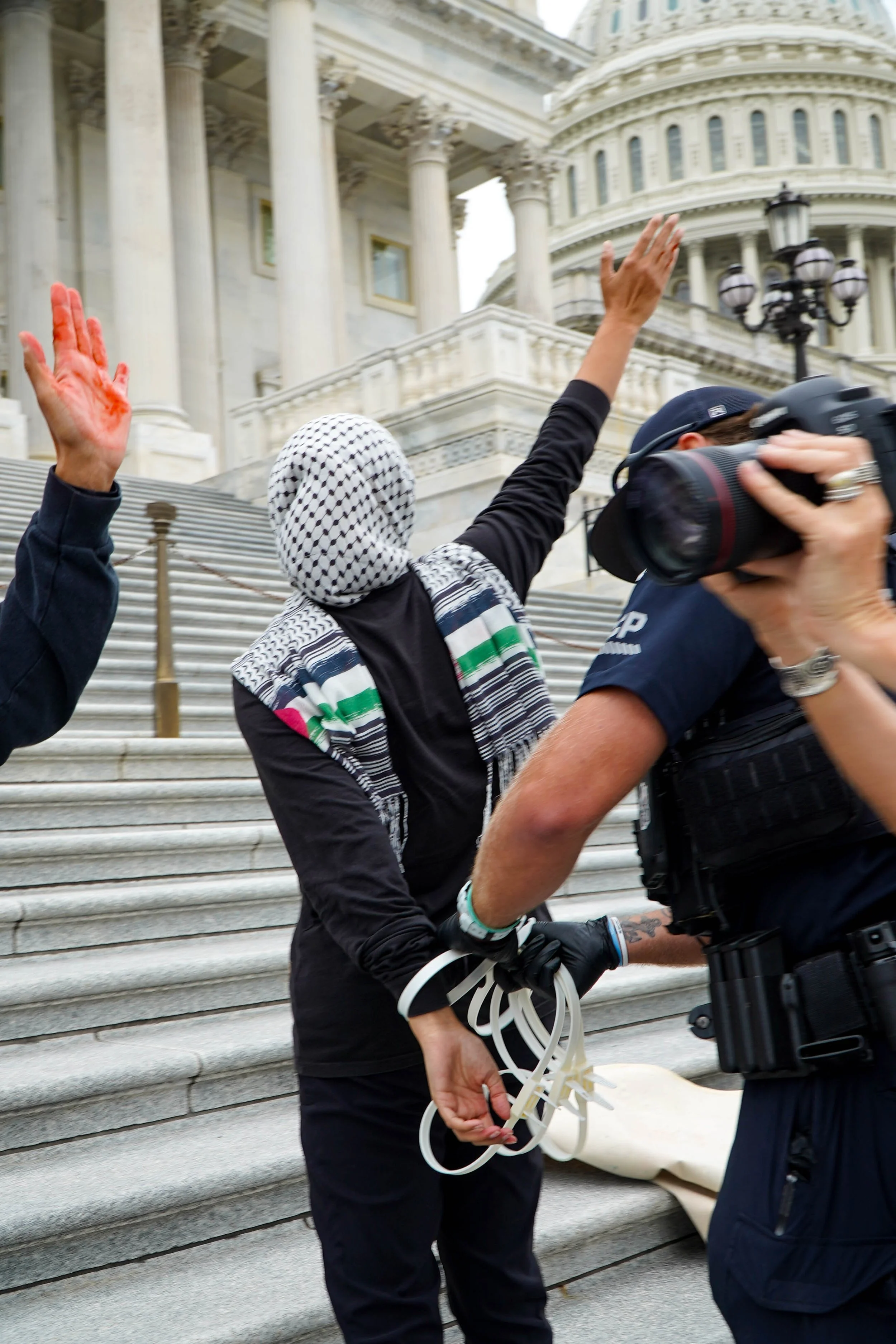 Capitol steps protest 37.jpg