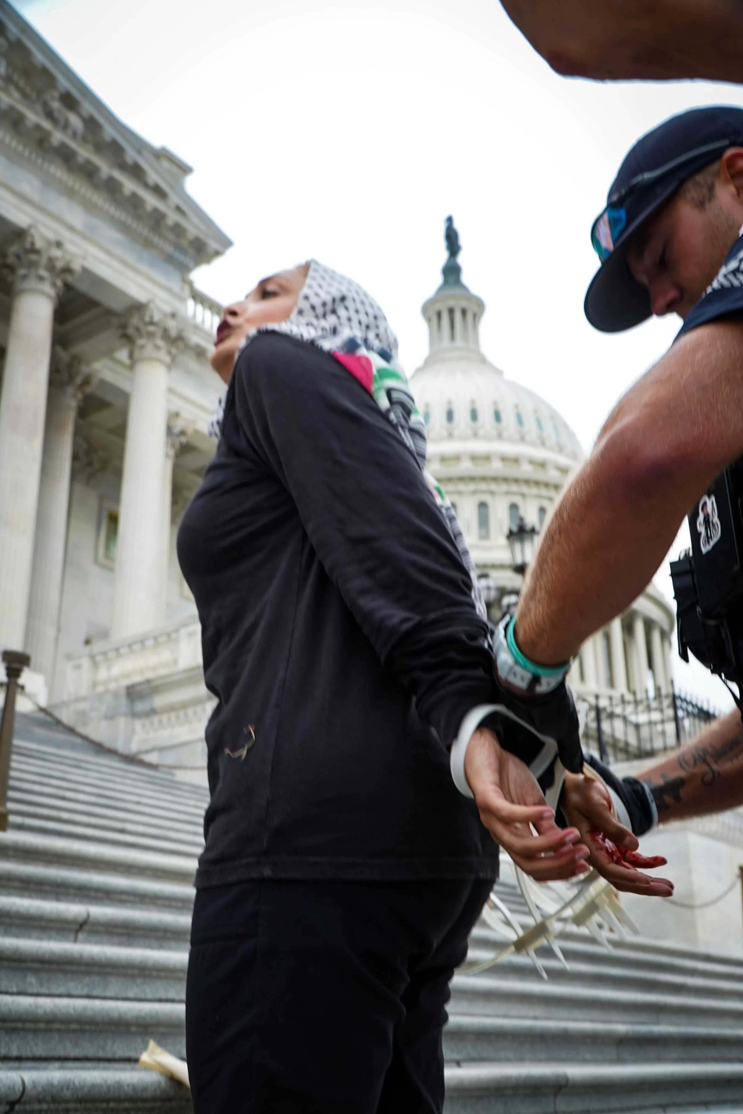 Capitol steps protest 38.jpg