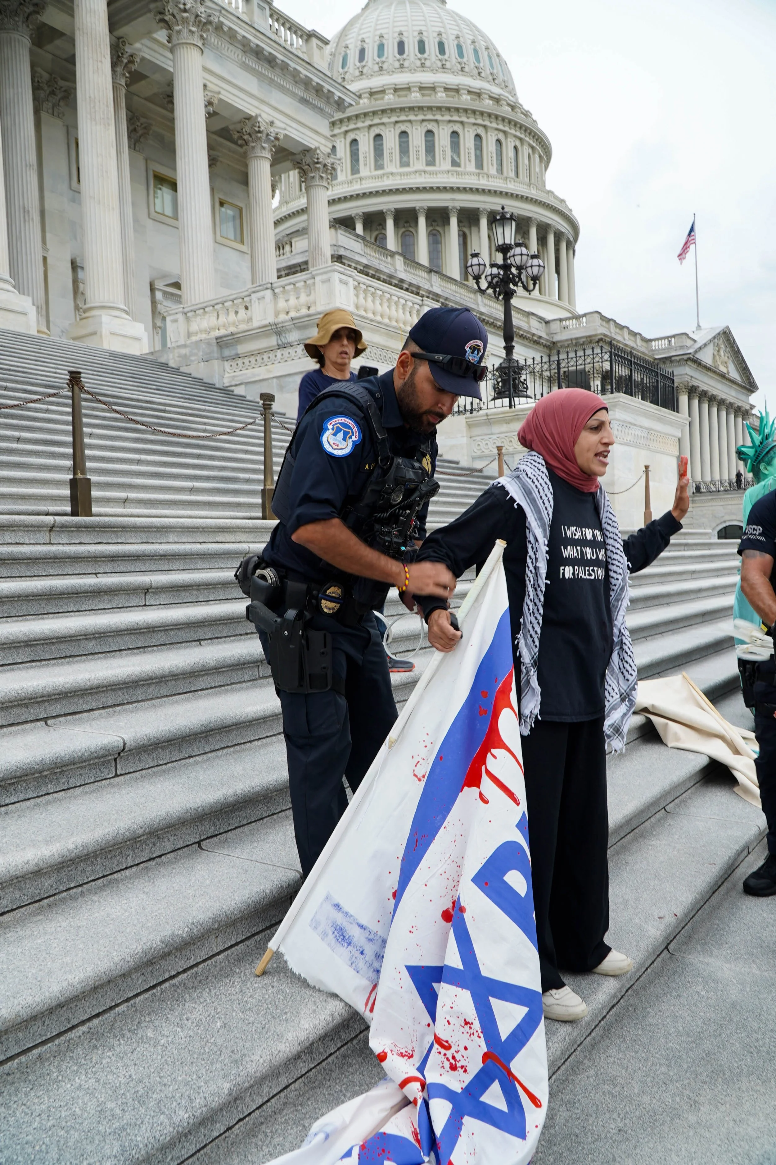 Capitol steps protest 40.jpg
