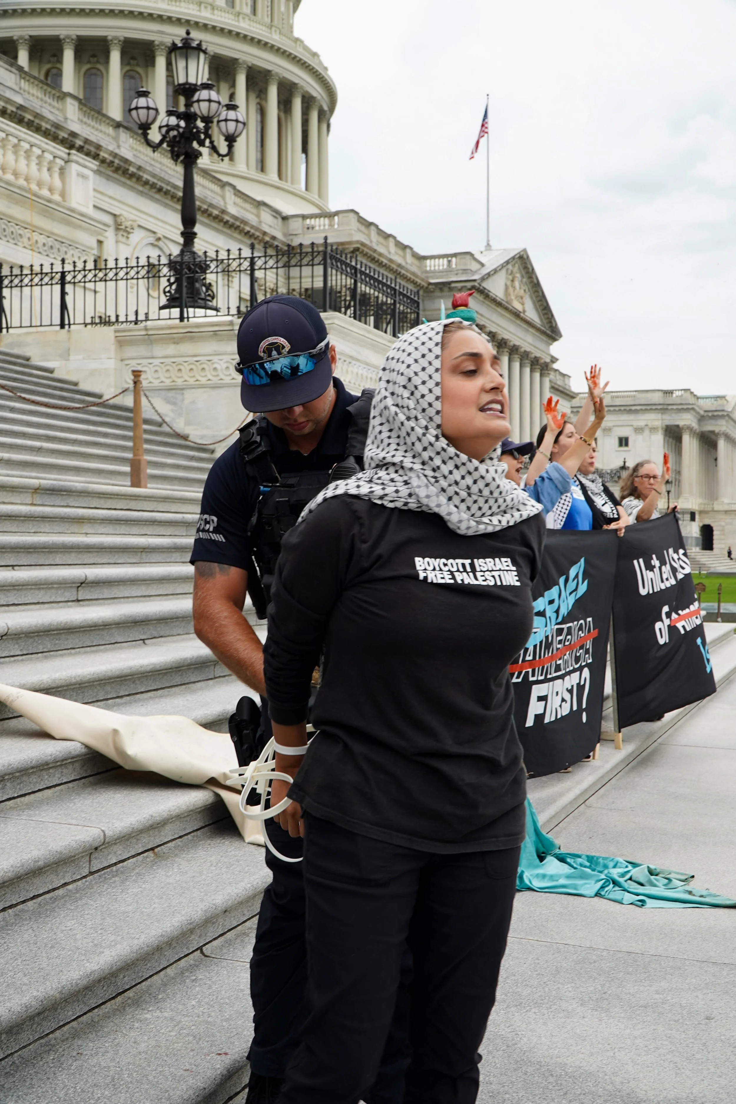 Capitol steps protest 42.jpg