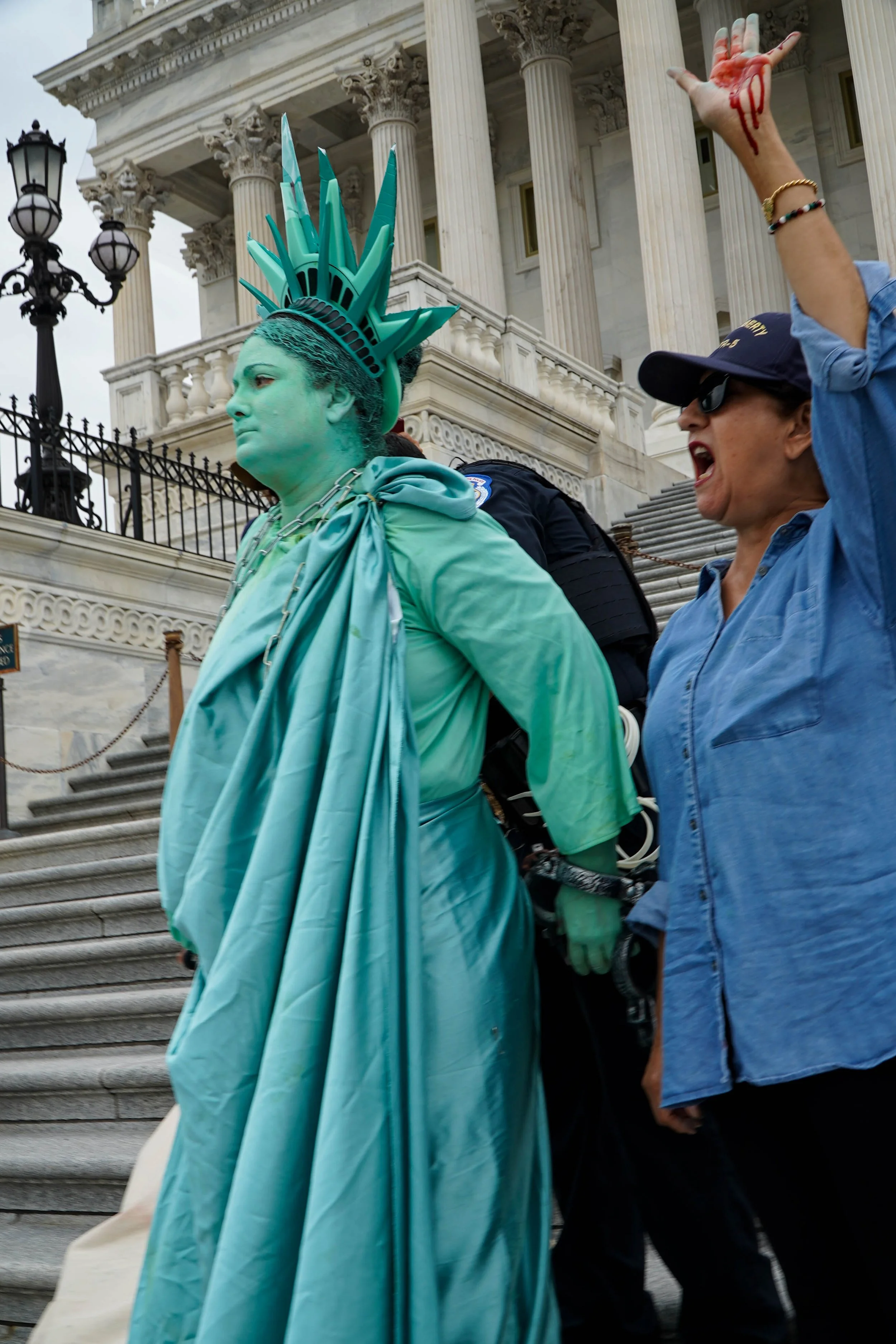 Capitol steps protest 44.jpg