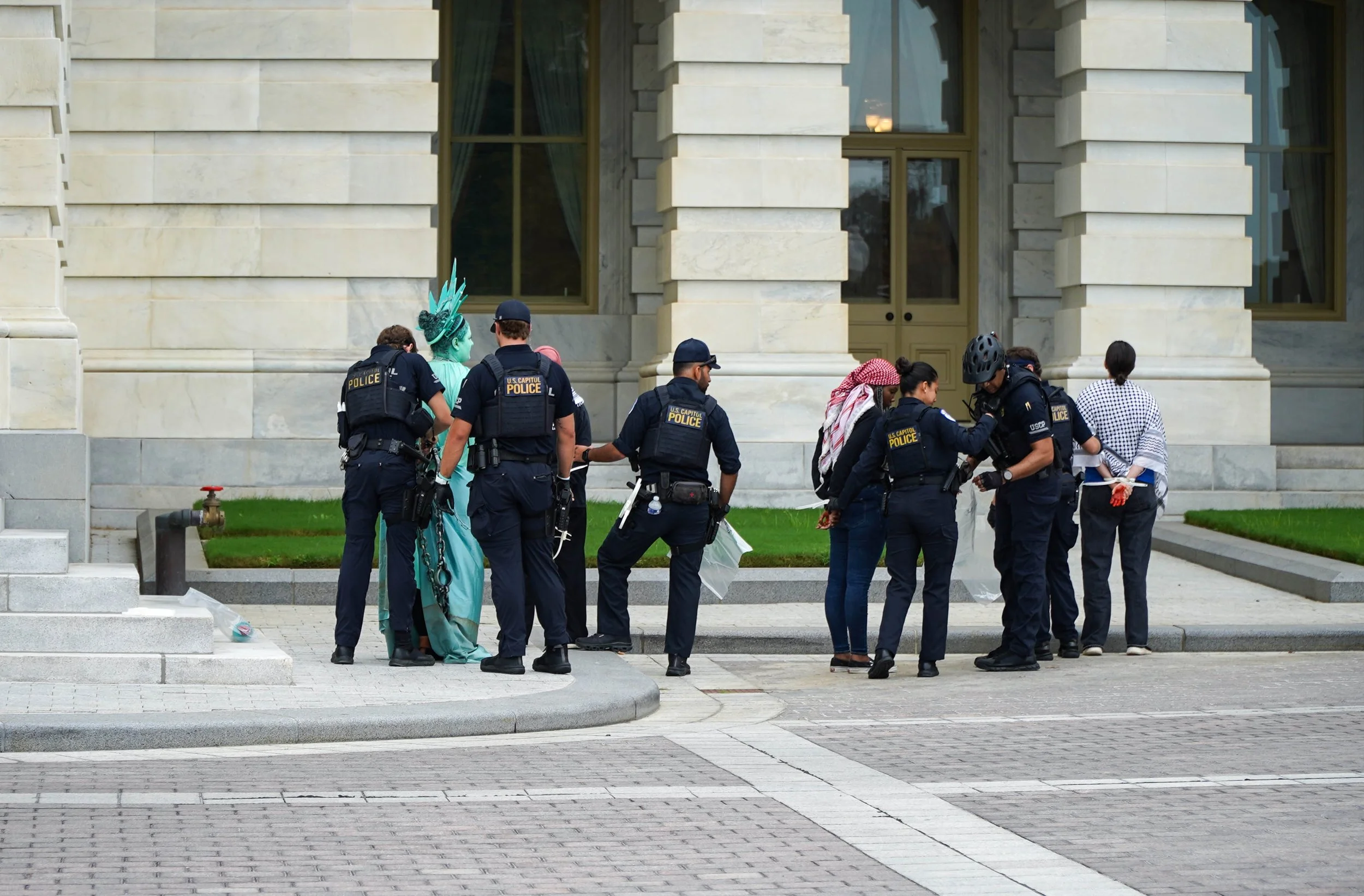 Capitol steps protest 50.jpg