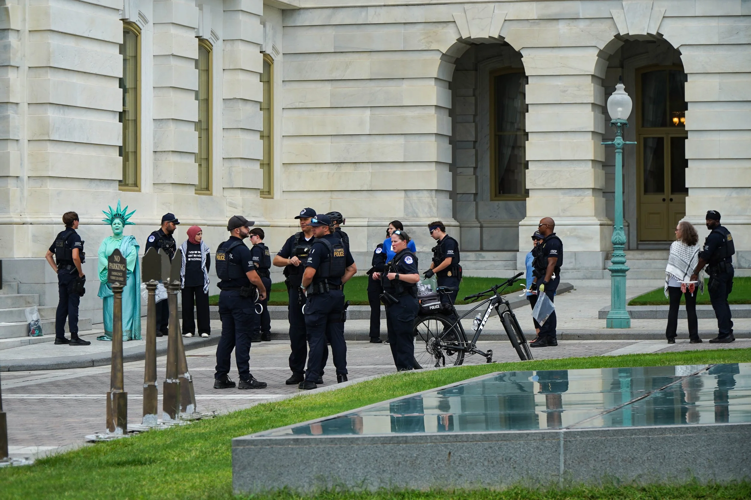 Capitol steps protest 54.jpg