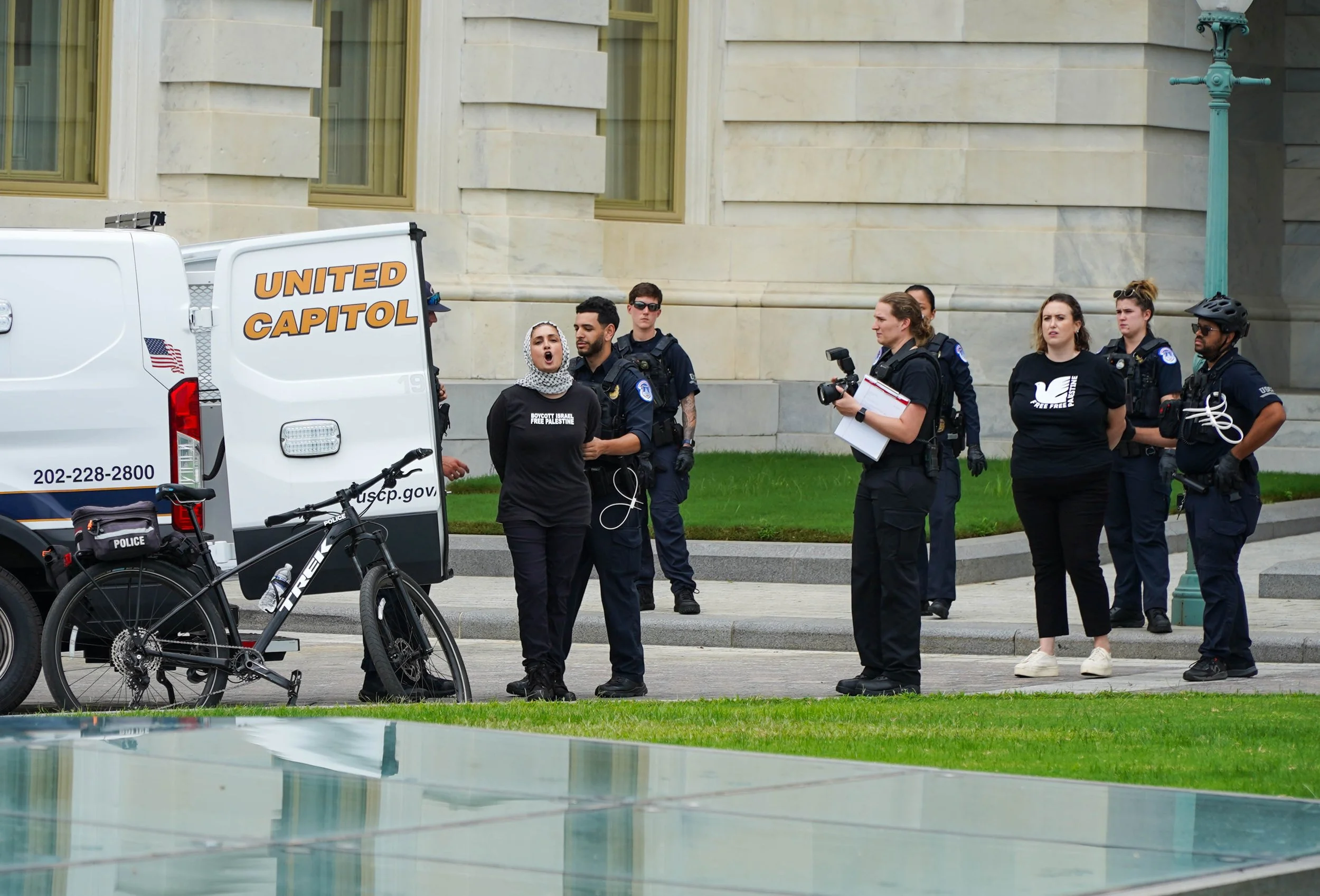Capitol steps protest 63.jpg