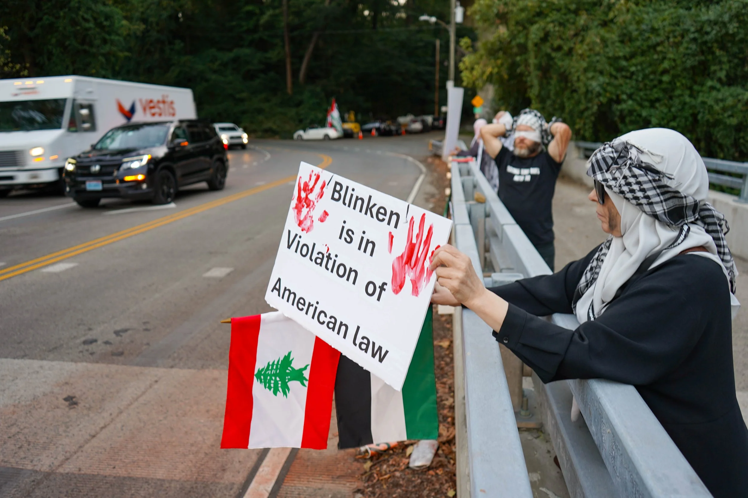 Blinken in violation of law -flags.jpg