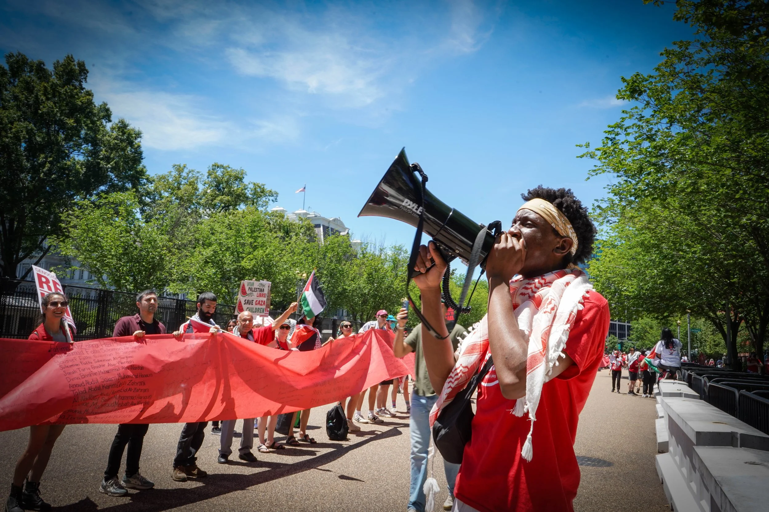 megaphone 1.jpg