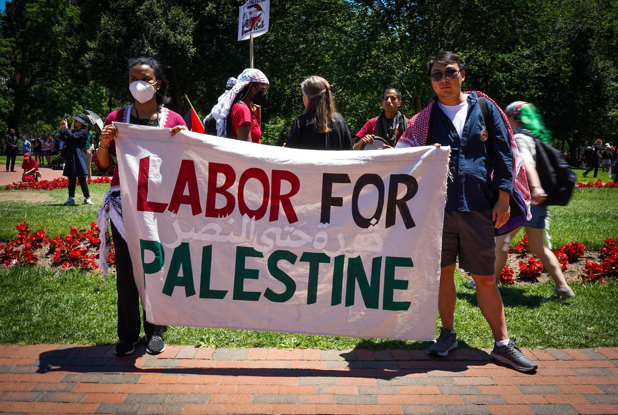 Labor 4 Pali.jpg