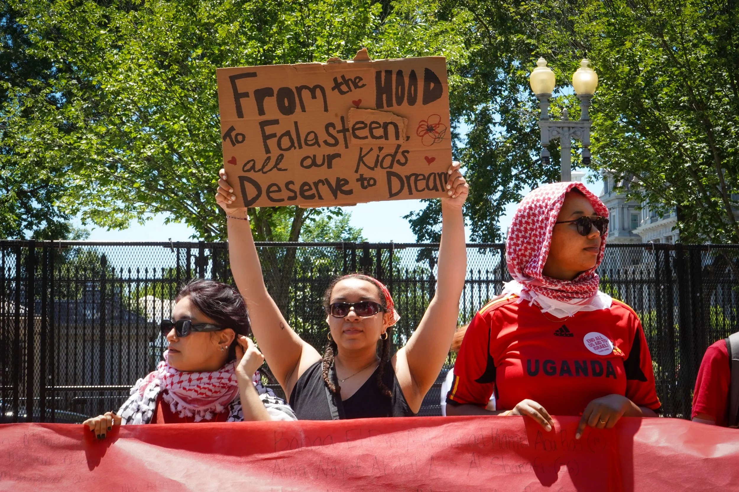from the hood to falestine.jpg