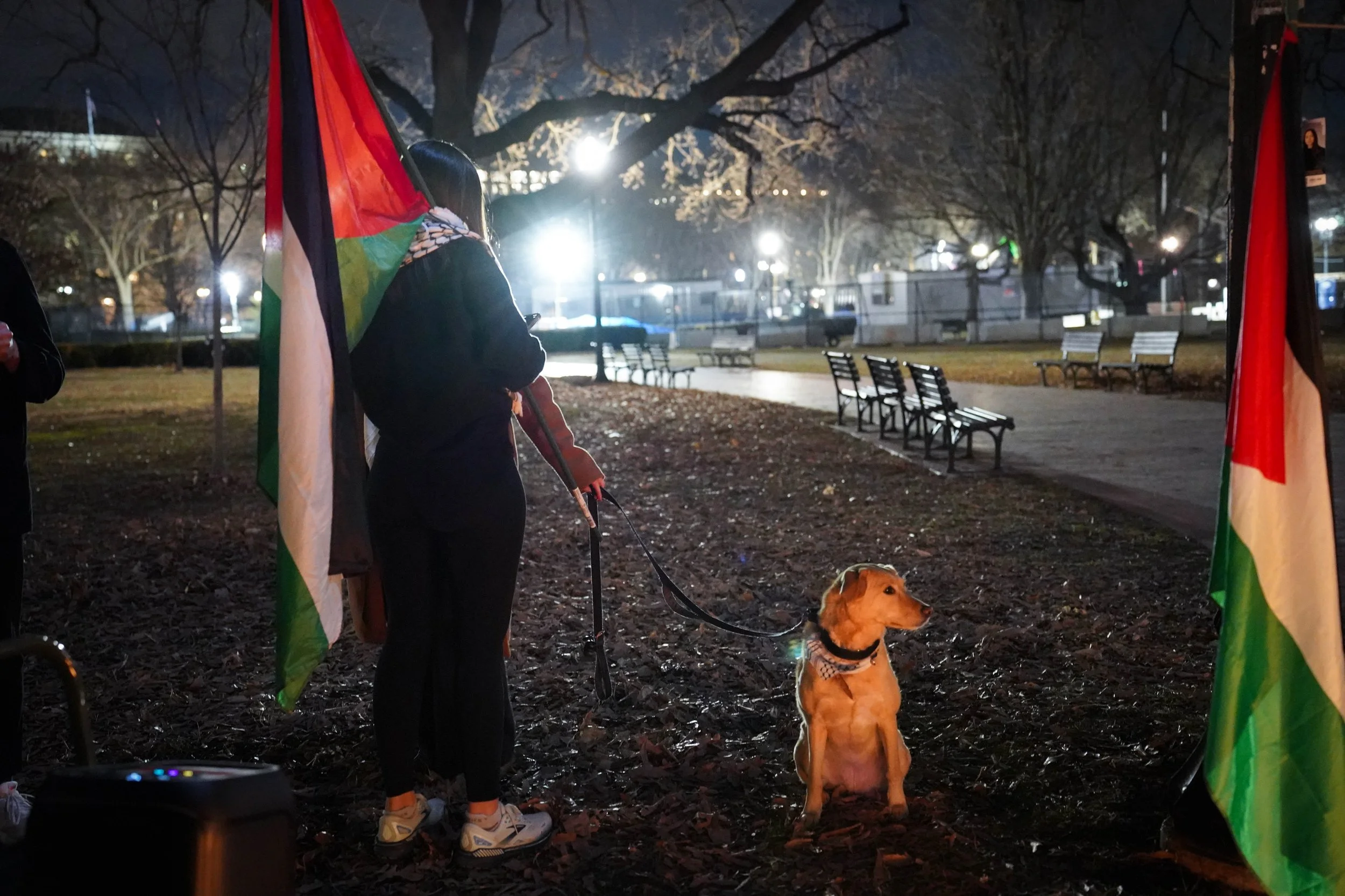 dog and flags.jpg
