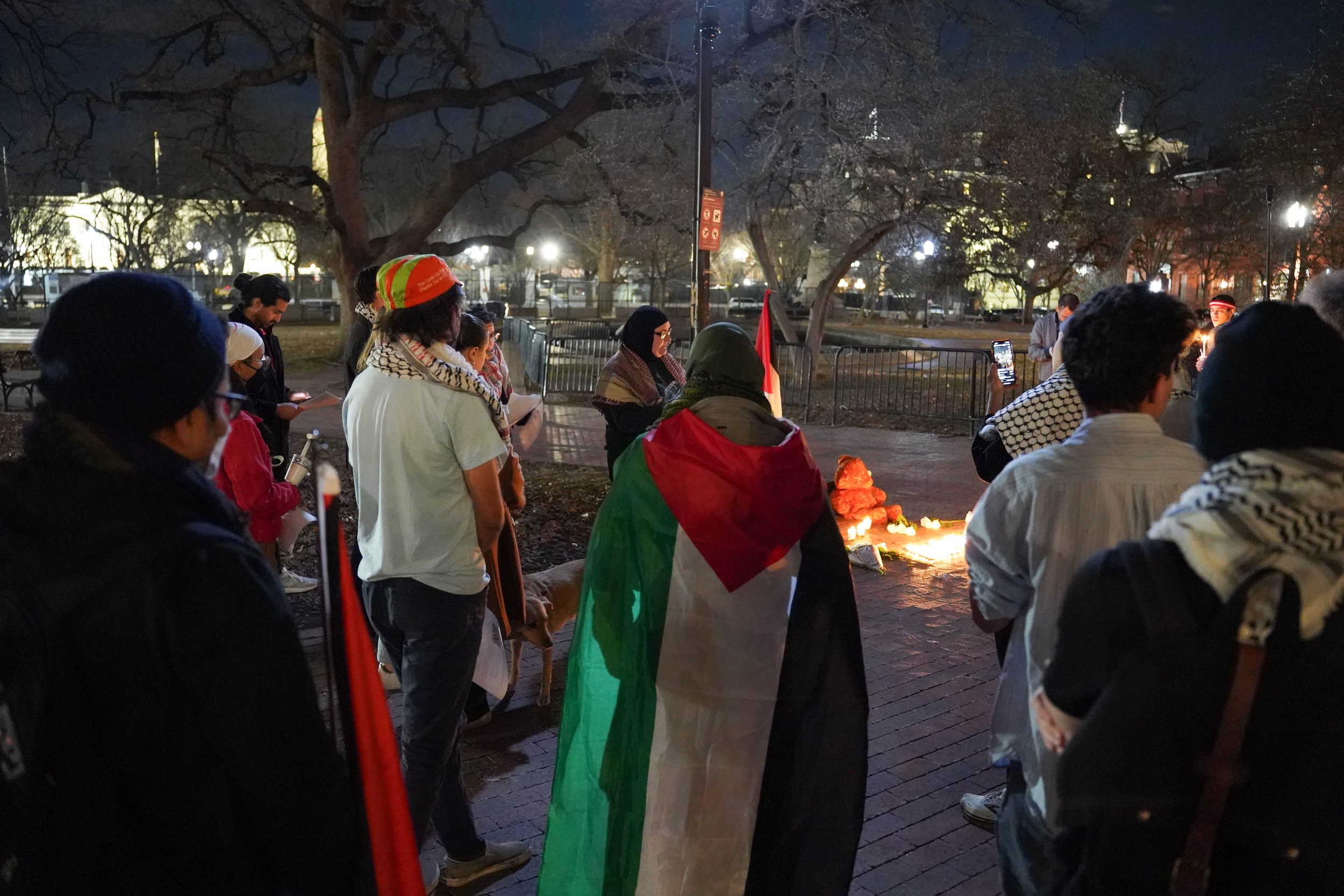 crowd flag.jpg