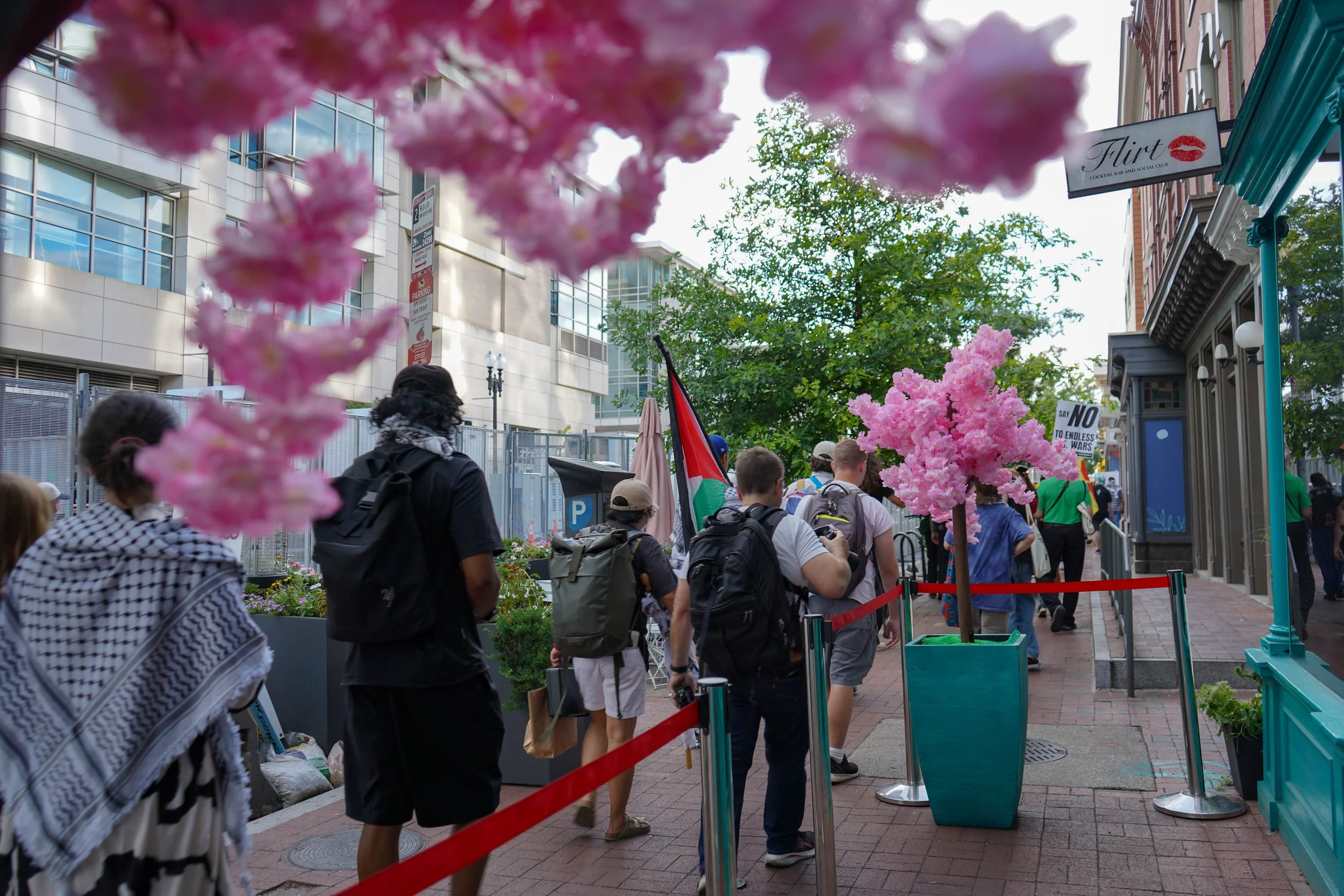 marching flowers frame.jpg