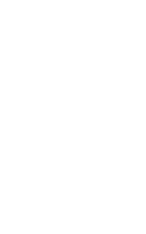 website logo 300pix.png