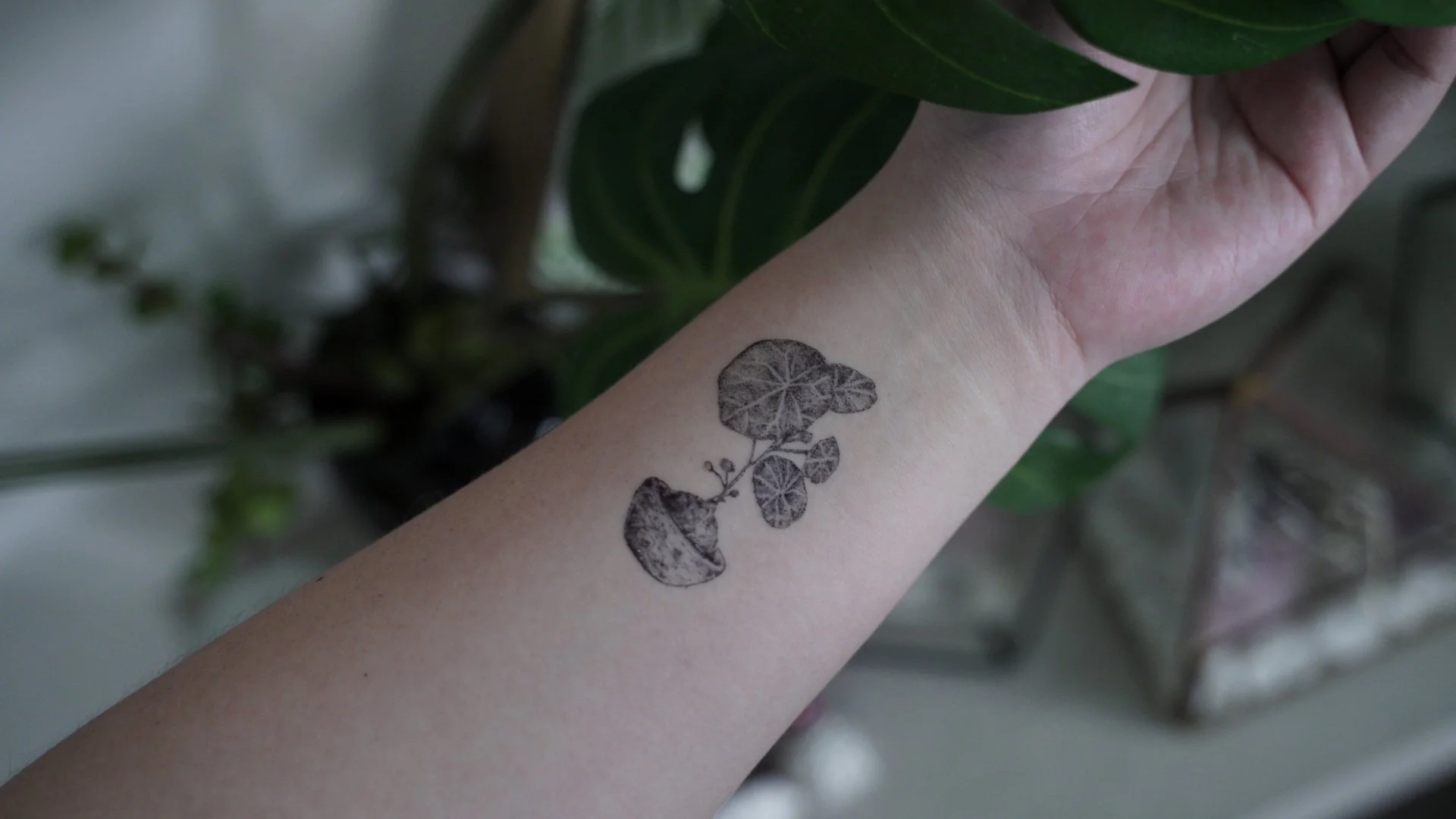 Henndrawn