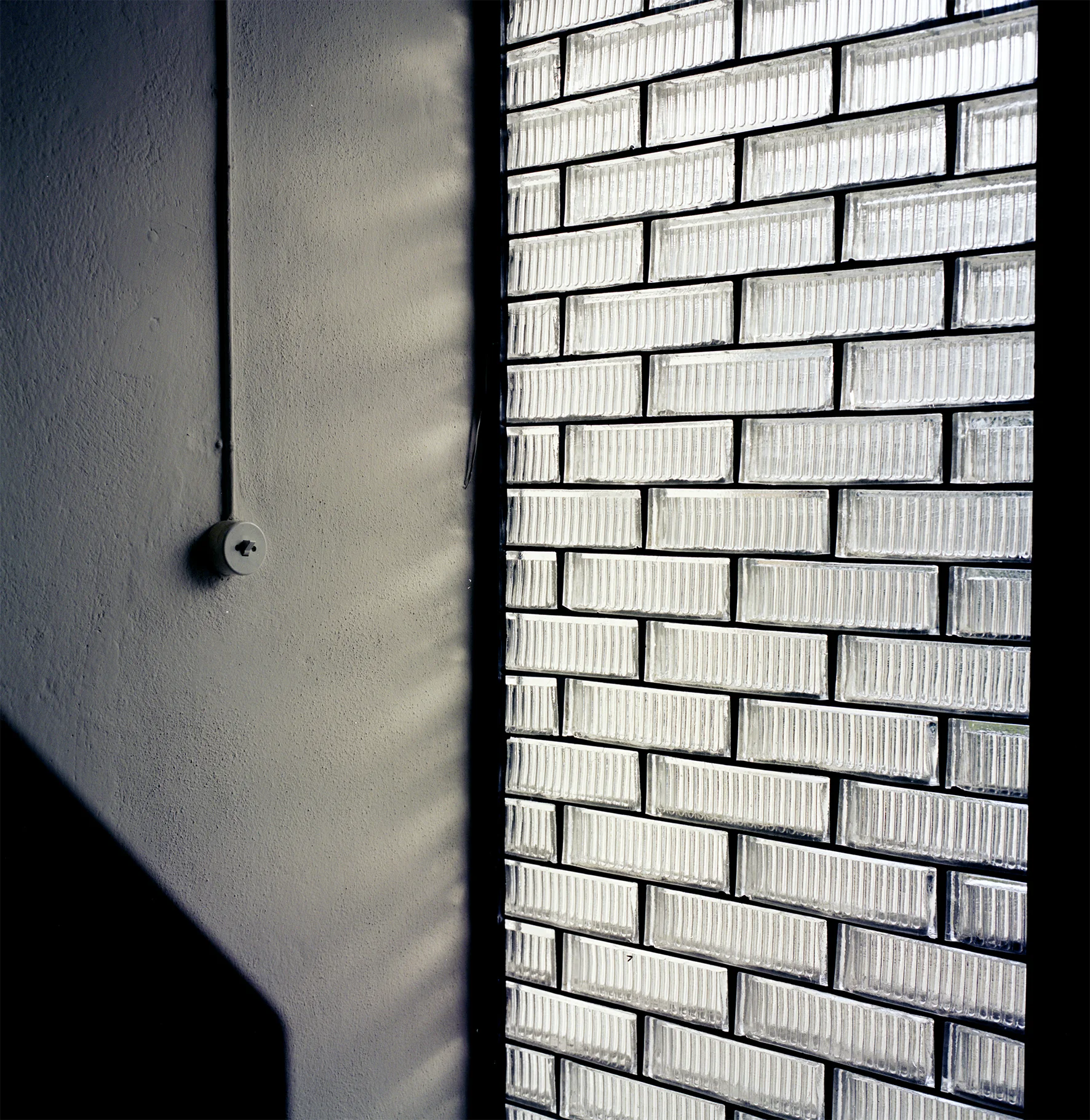 0018_IMG 130.jpg