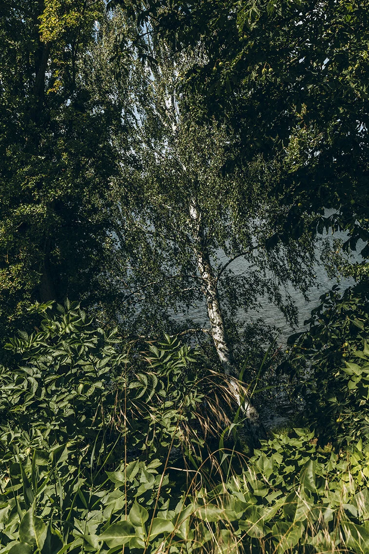 _I5A7775.jpg