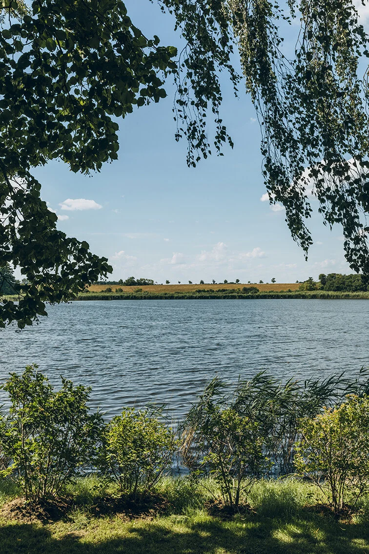 _I5A7776.jpg