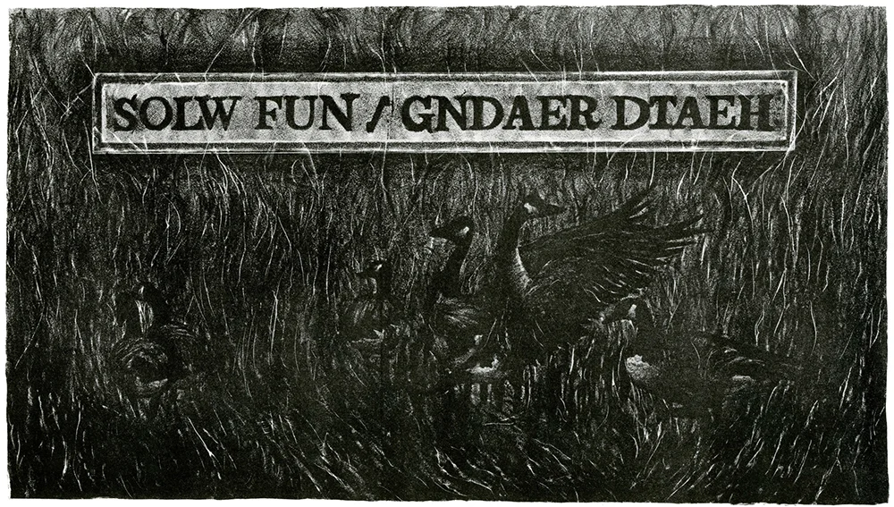 Solw Fun / Gndaer Dtaeh