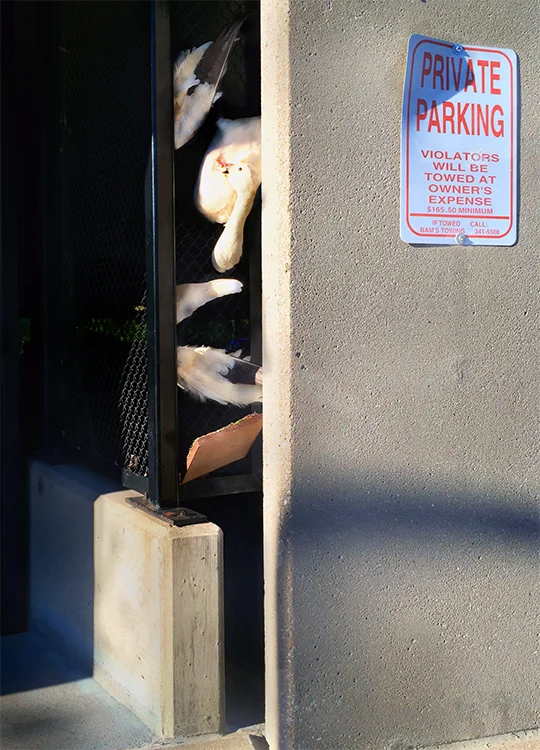 Private Parking