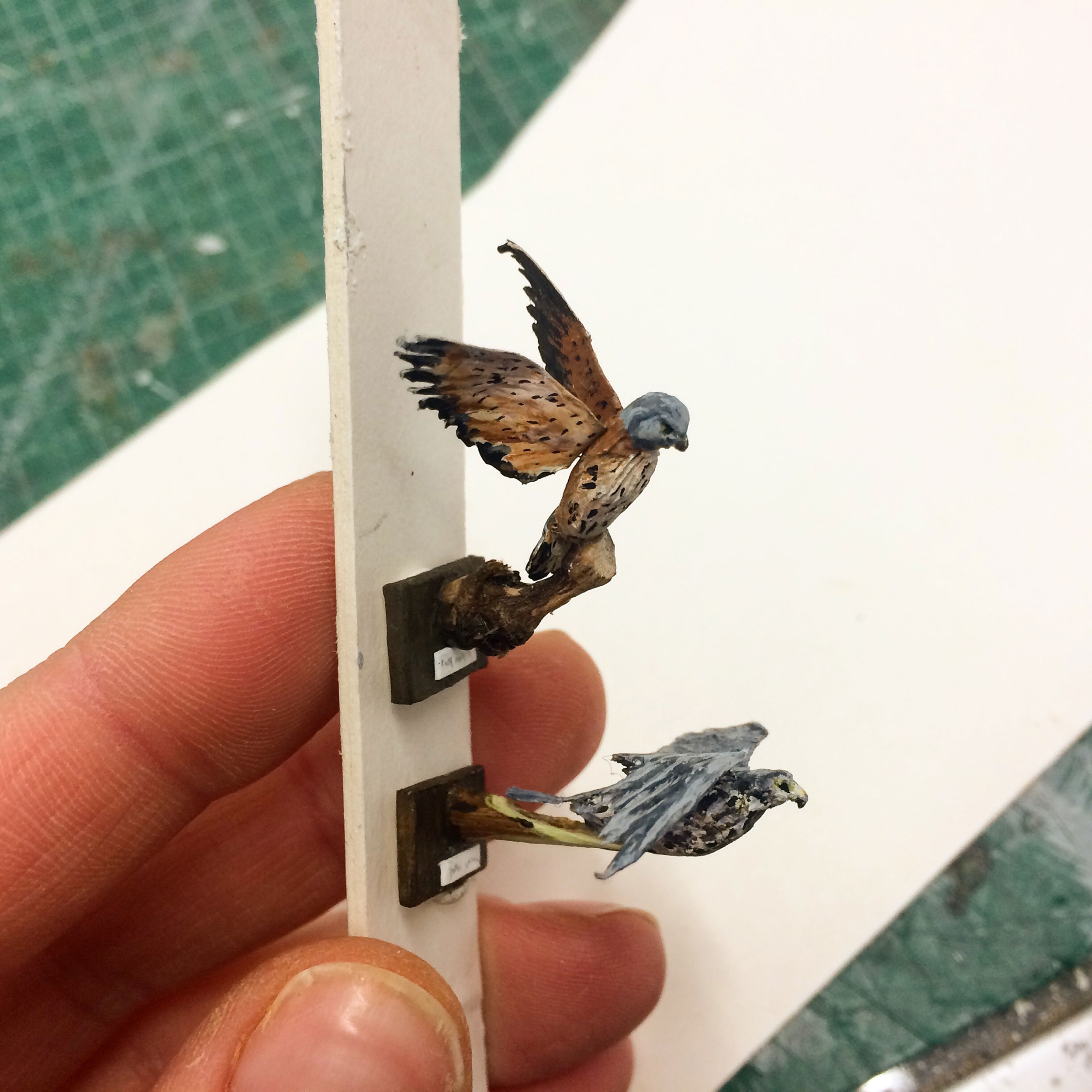 walkurie-birds-scalemodel-2.jpg