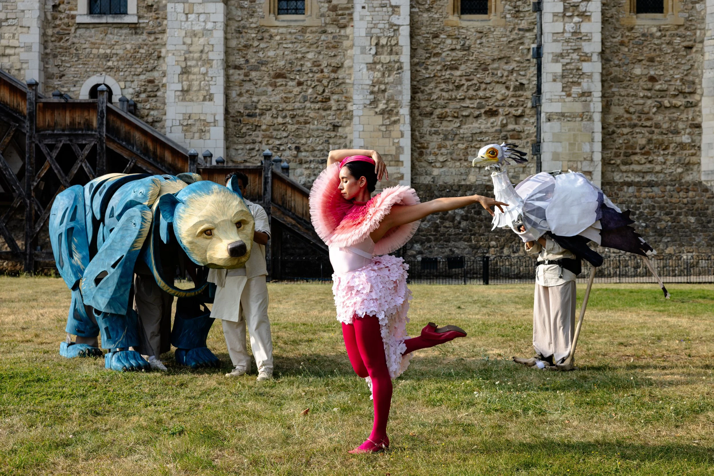 IMAGININGANIMALS-(c)ZoëBirkbeckPhotography-32.jpg