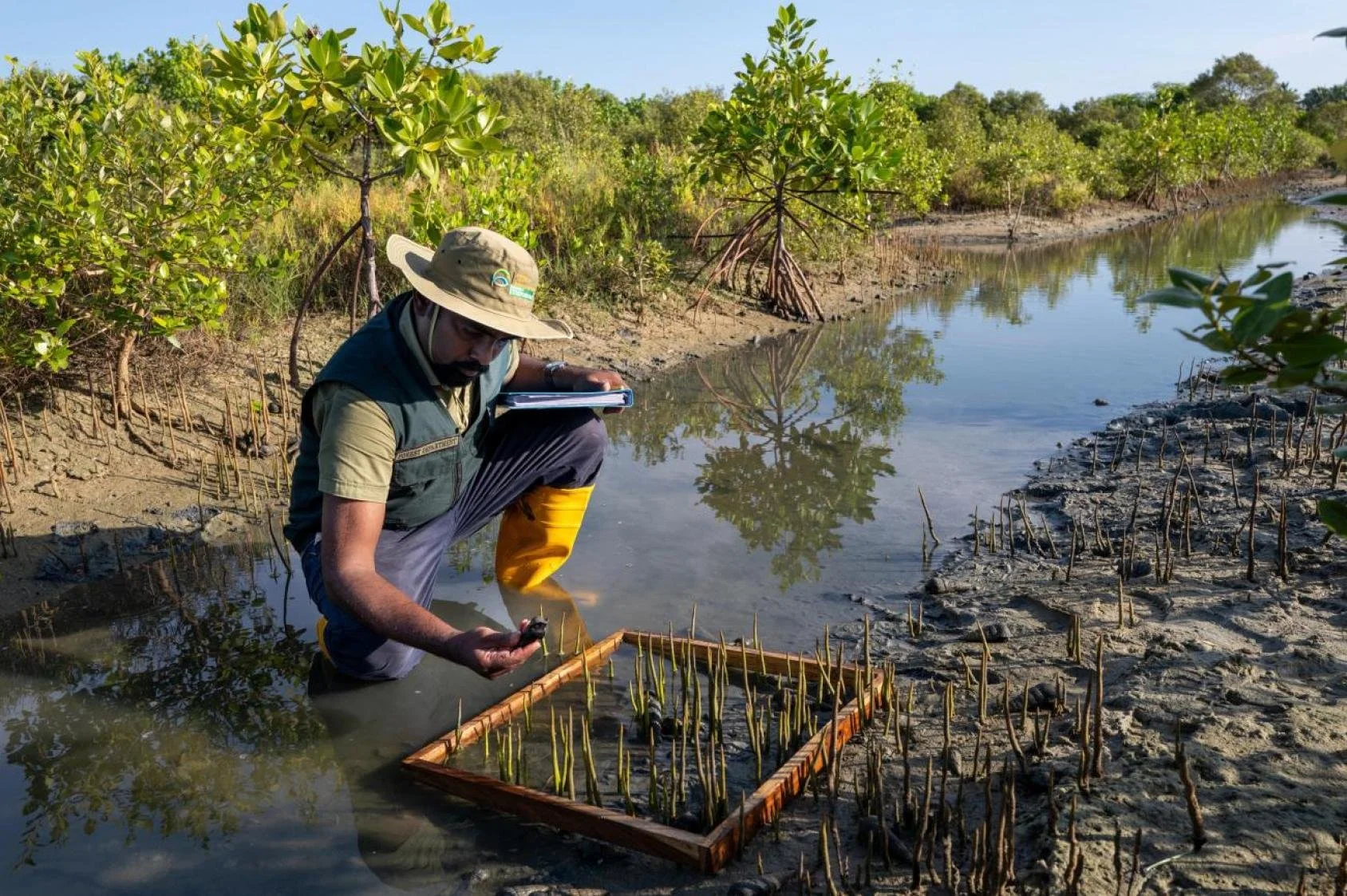Wetland Restoration Projects