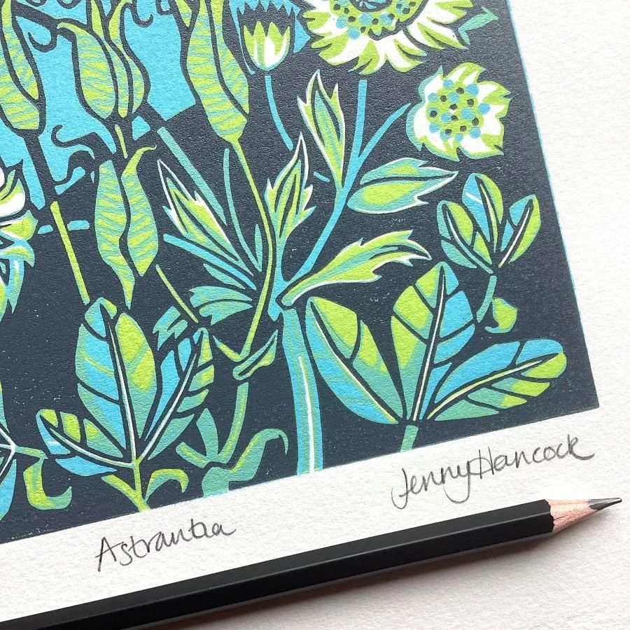 astrantia pencillowres.jpg