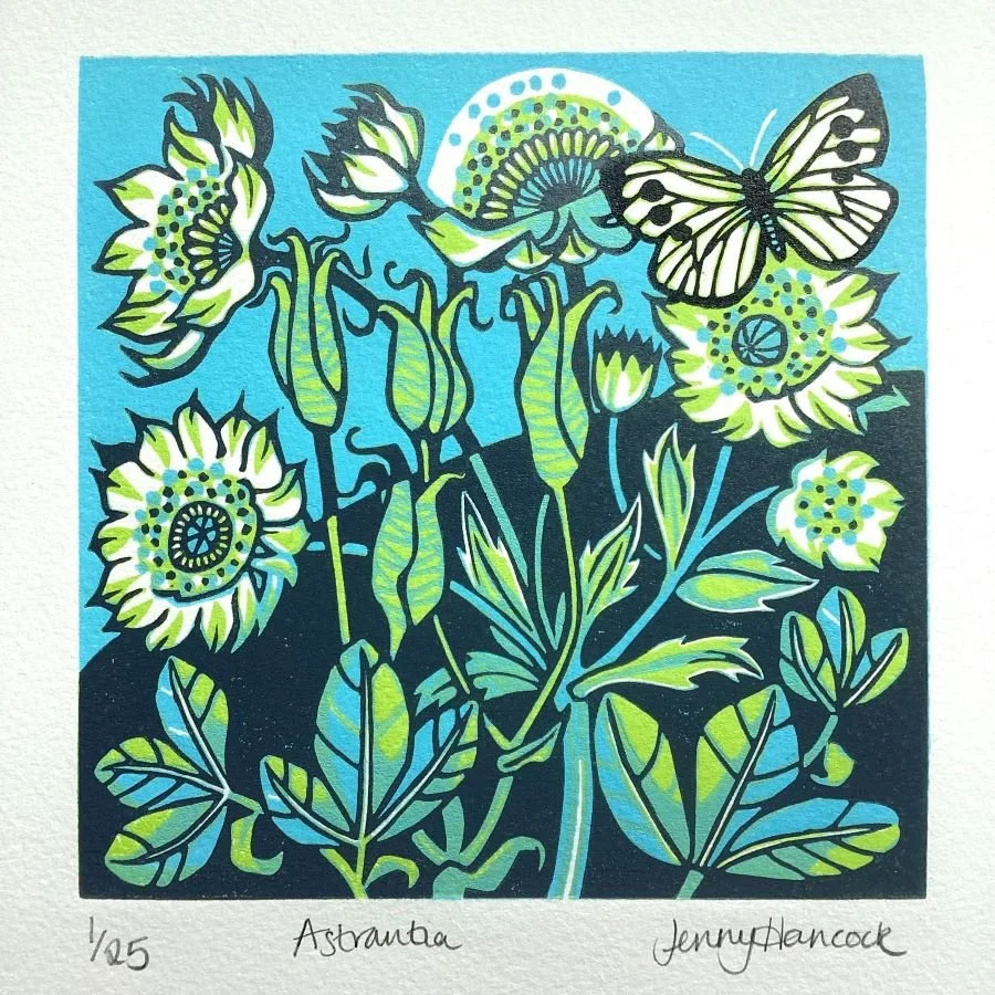 astrantia1low res.jpg