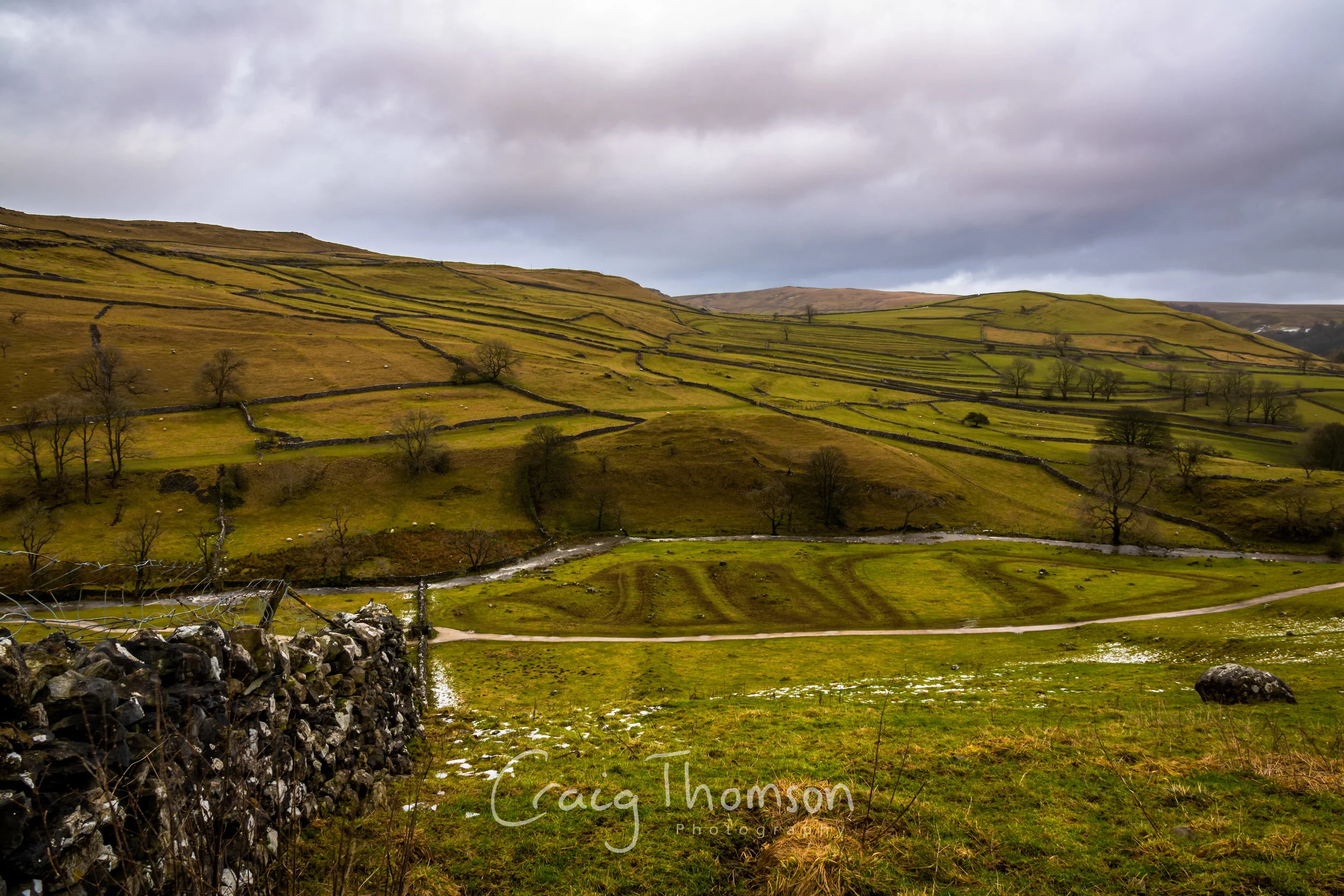Malham Fields