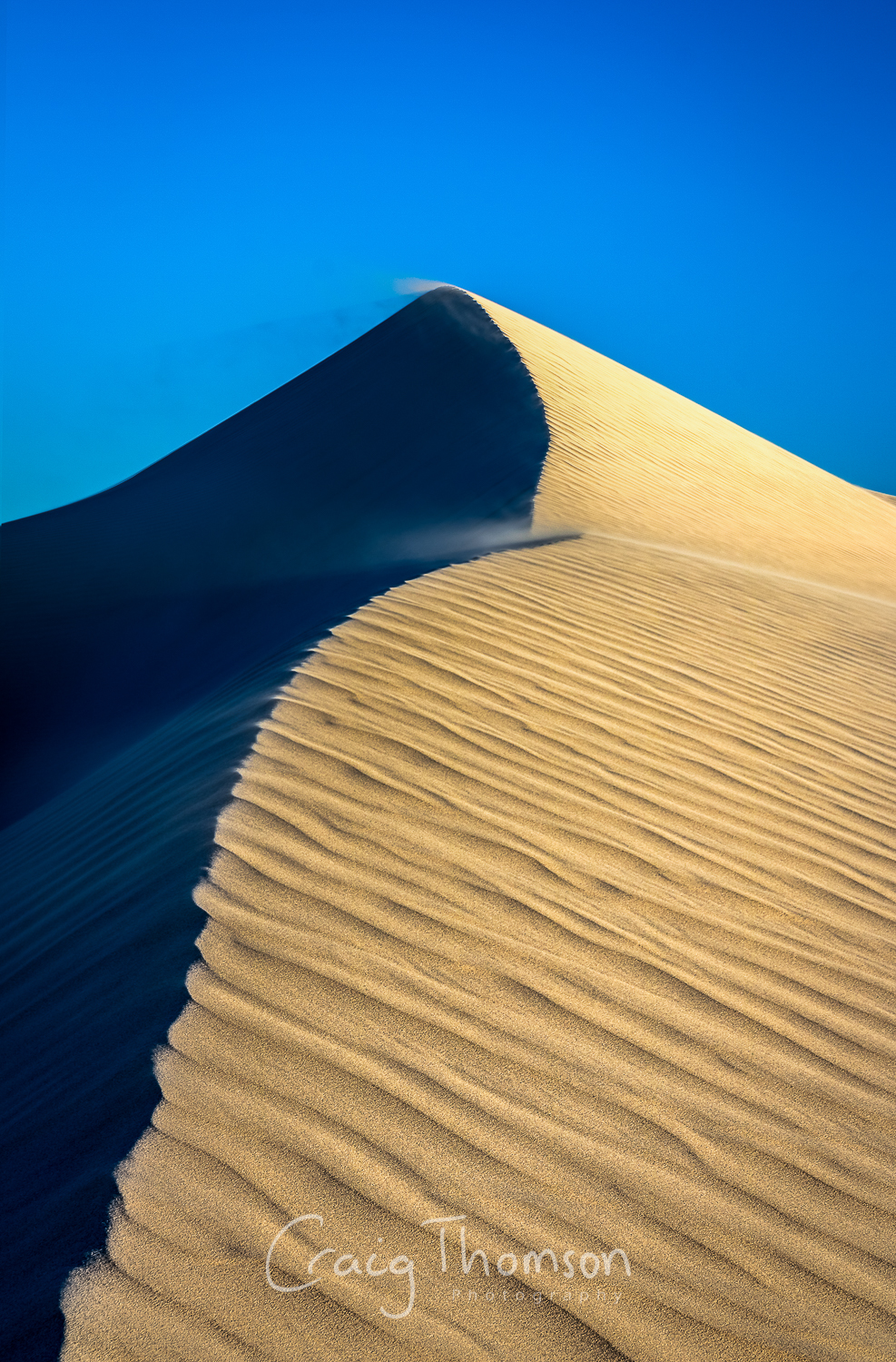Dune lines.jpg