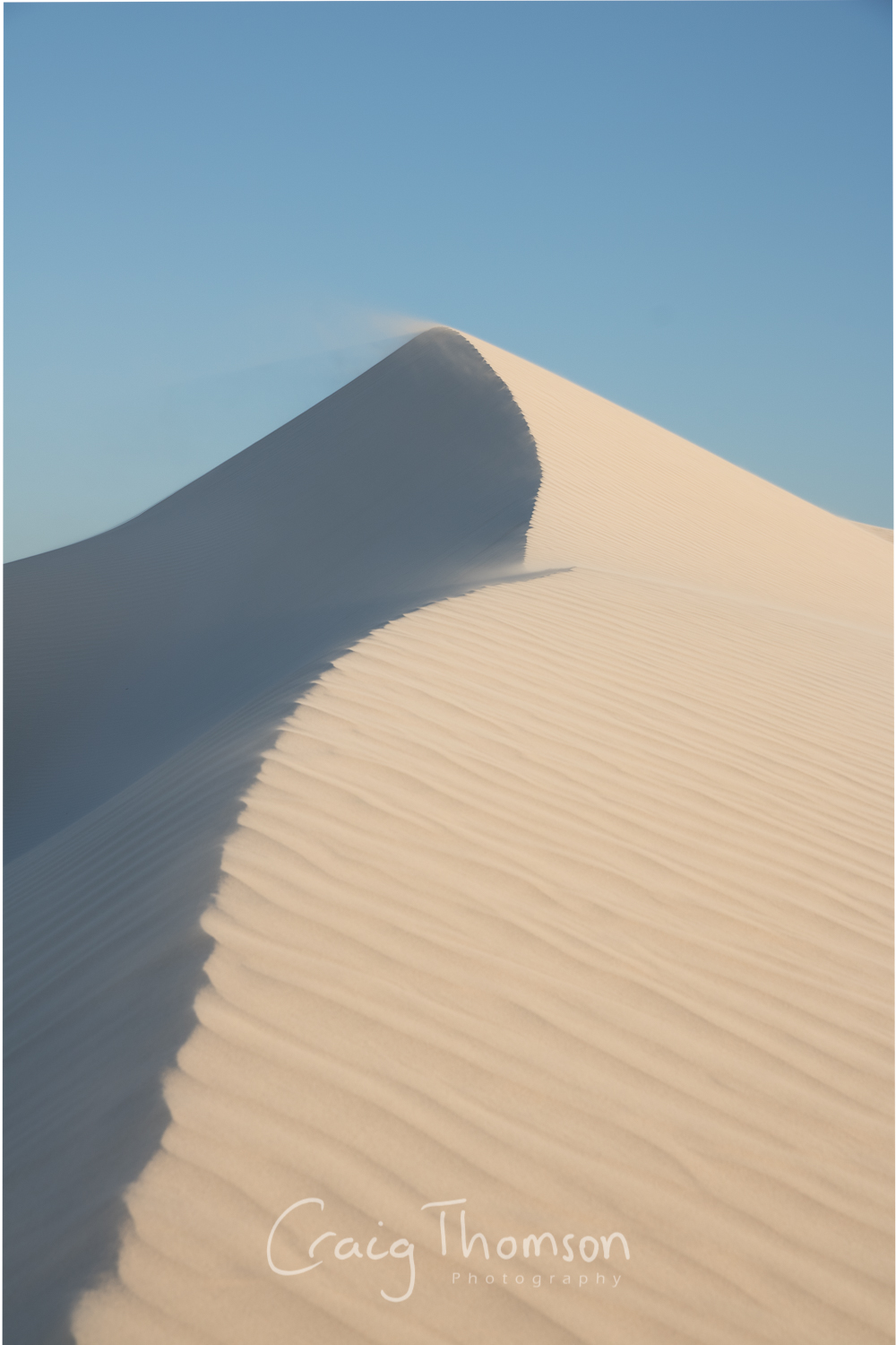 Dune Lines.jpg