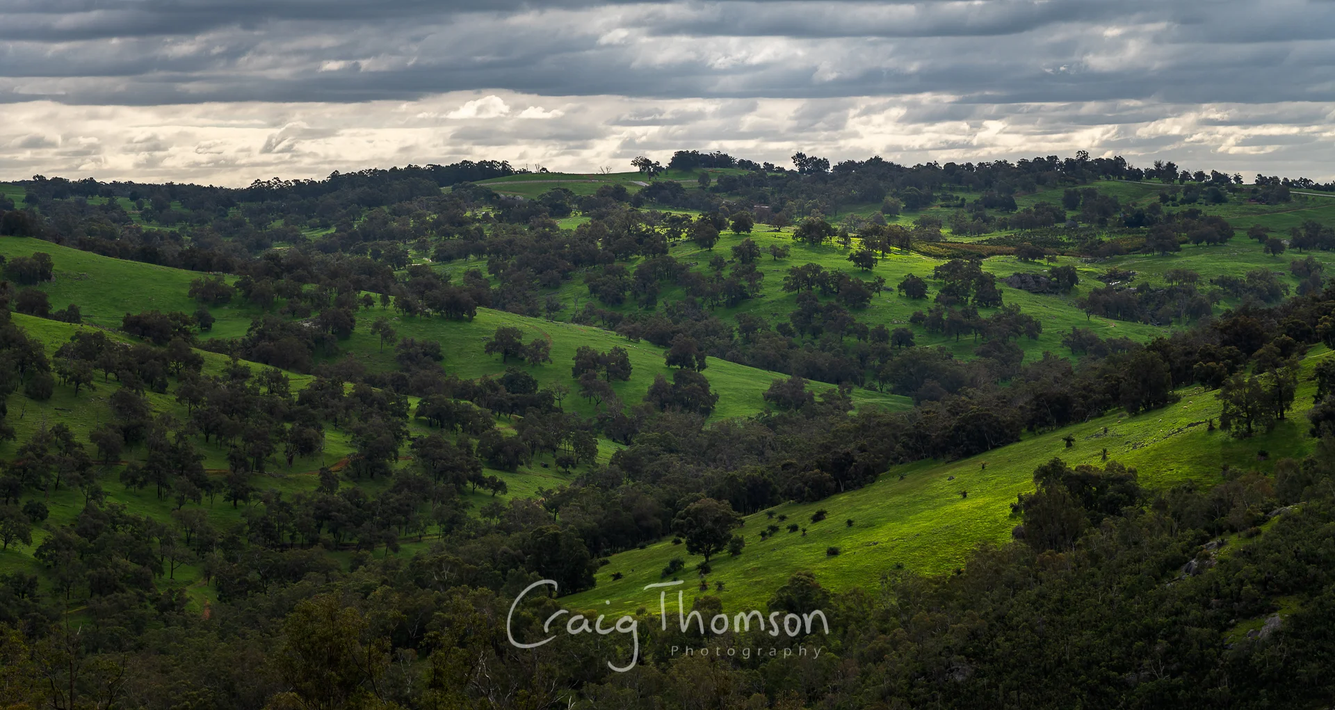 The Hills are Alight.JPG