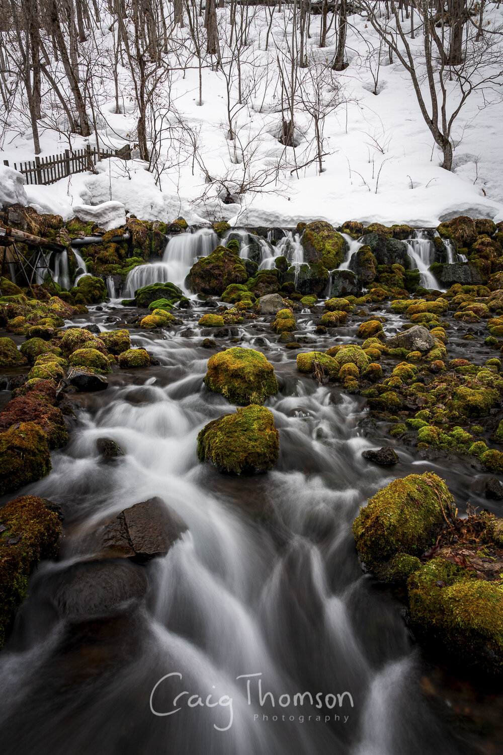 Mossy Flow.jpg