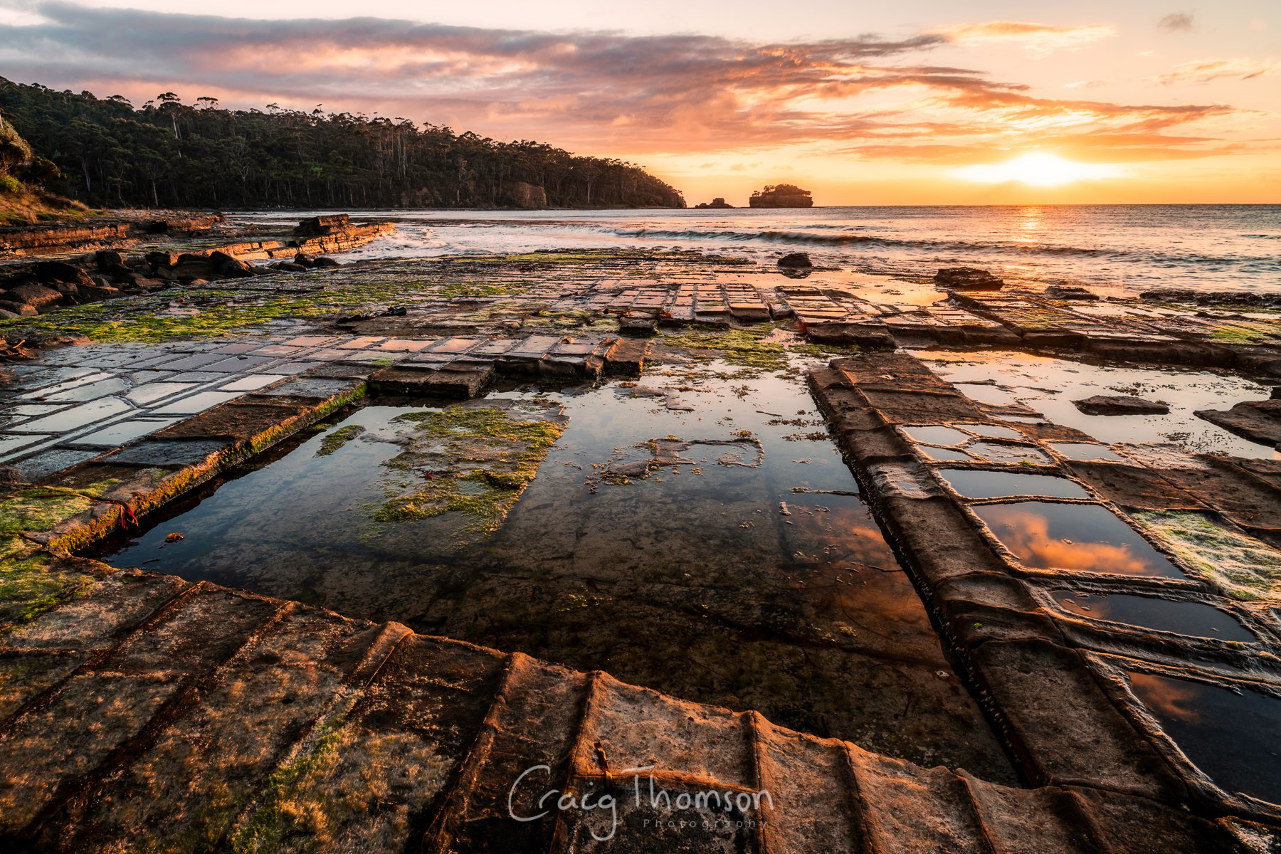 Tesselations.jpg