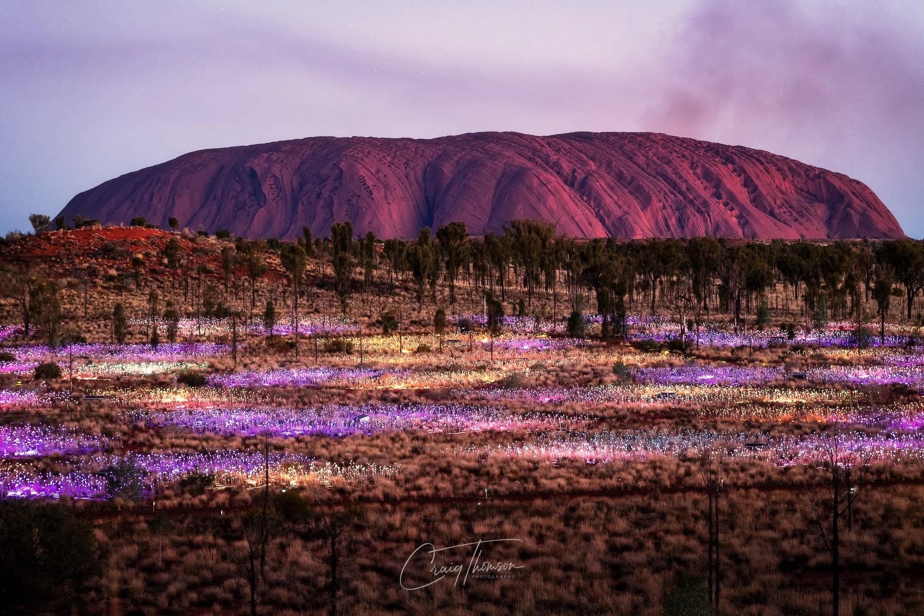 Field of Light 2.jpg
