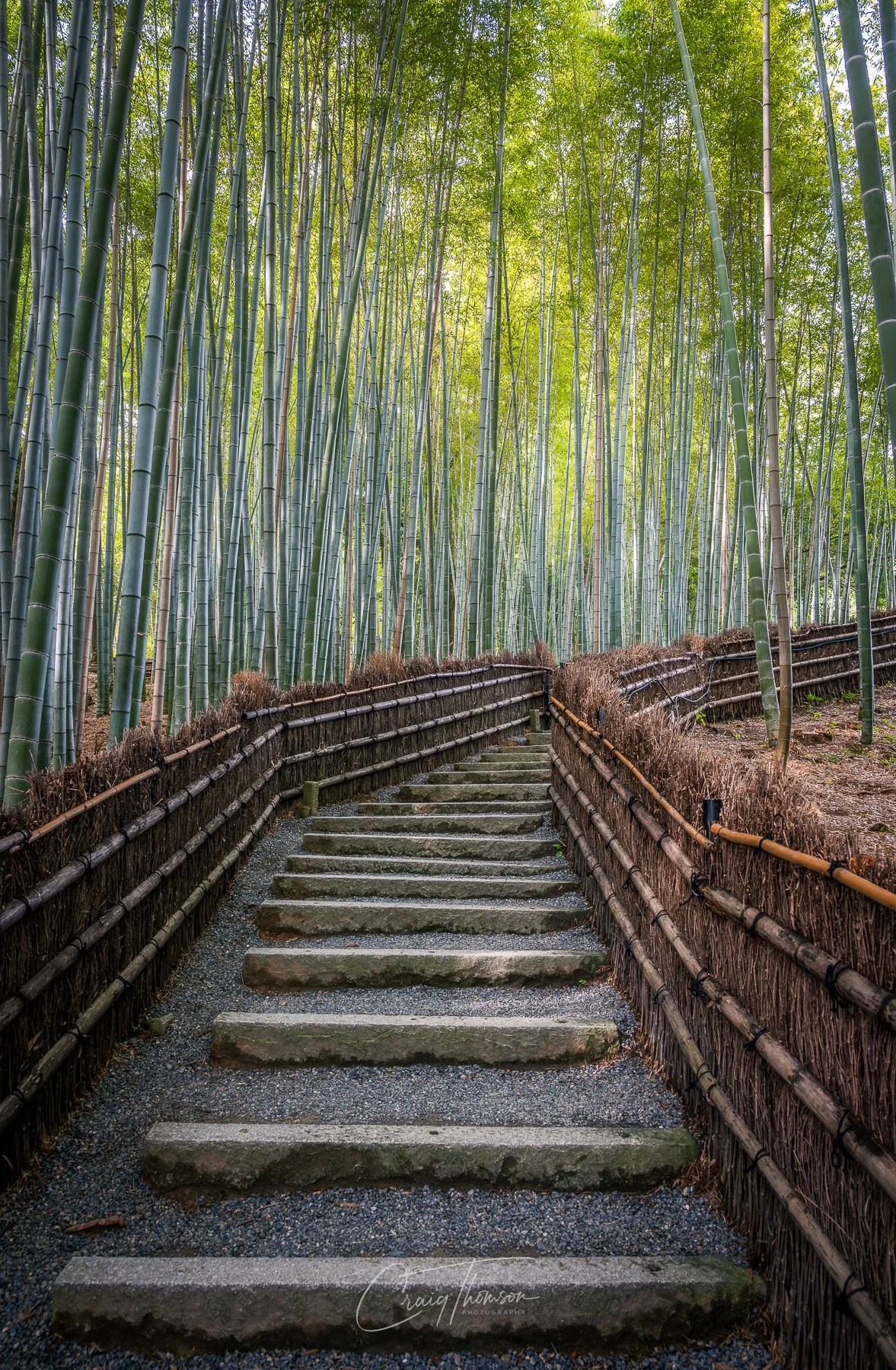 Bamboo Stairway