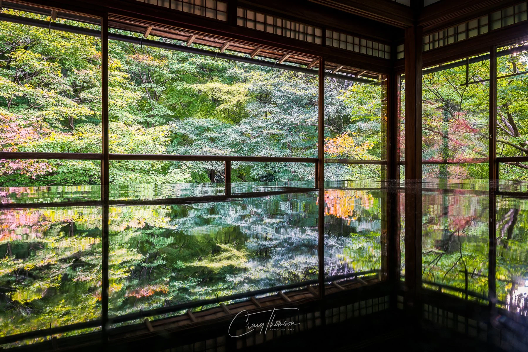 Rurikoin Reflections