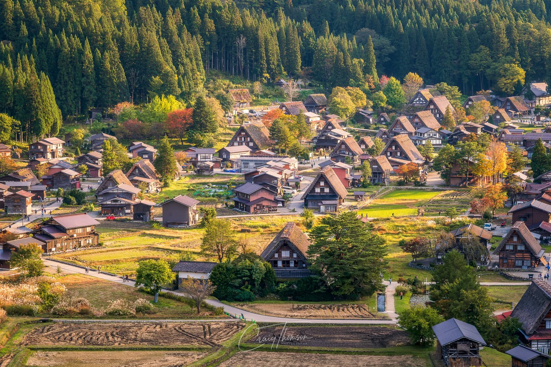 Shirakawa Sunlight